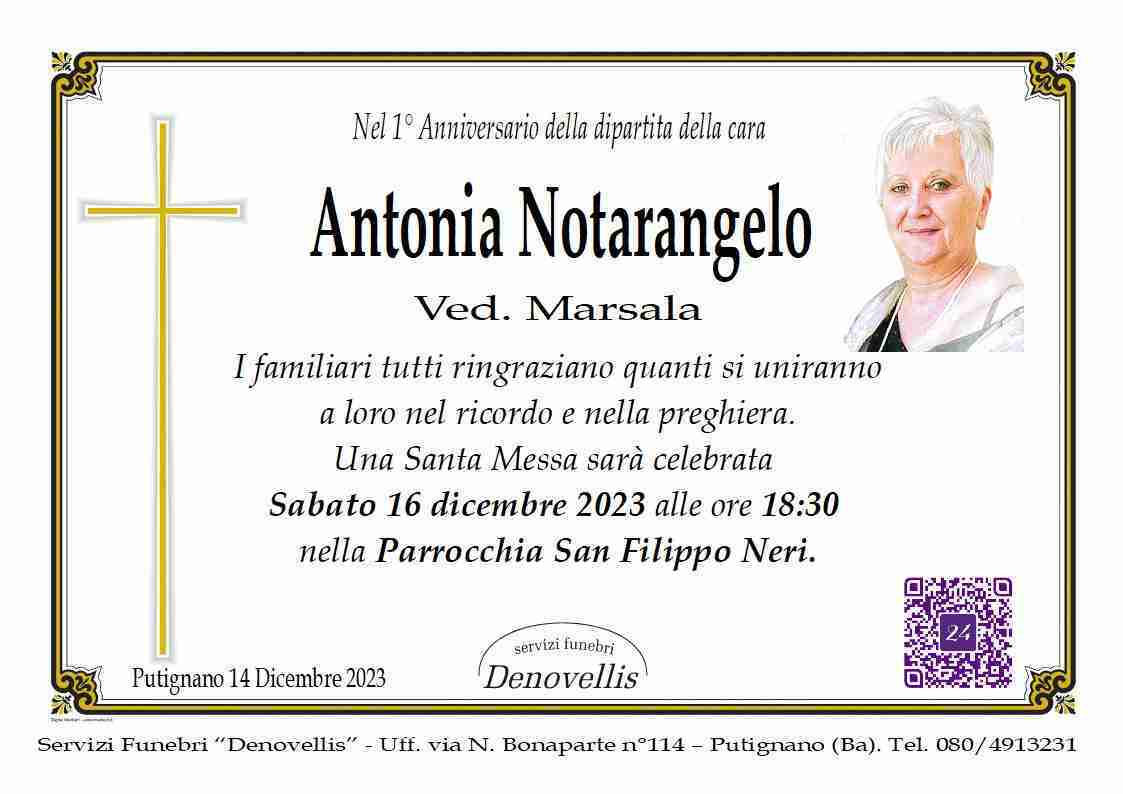 Antonia Notarangelo