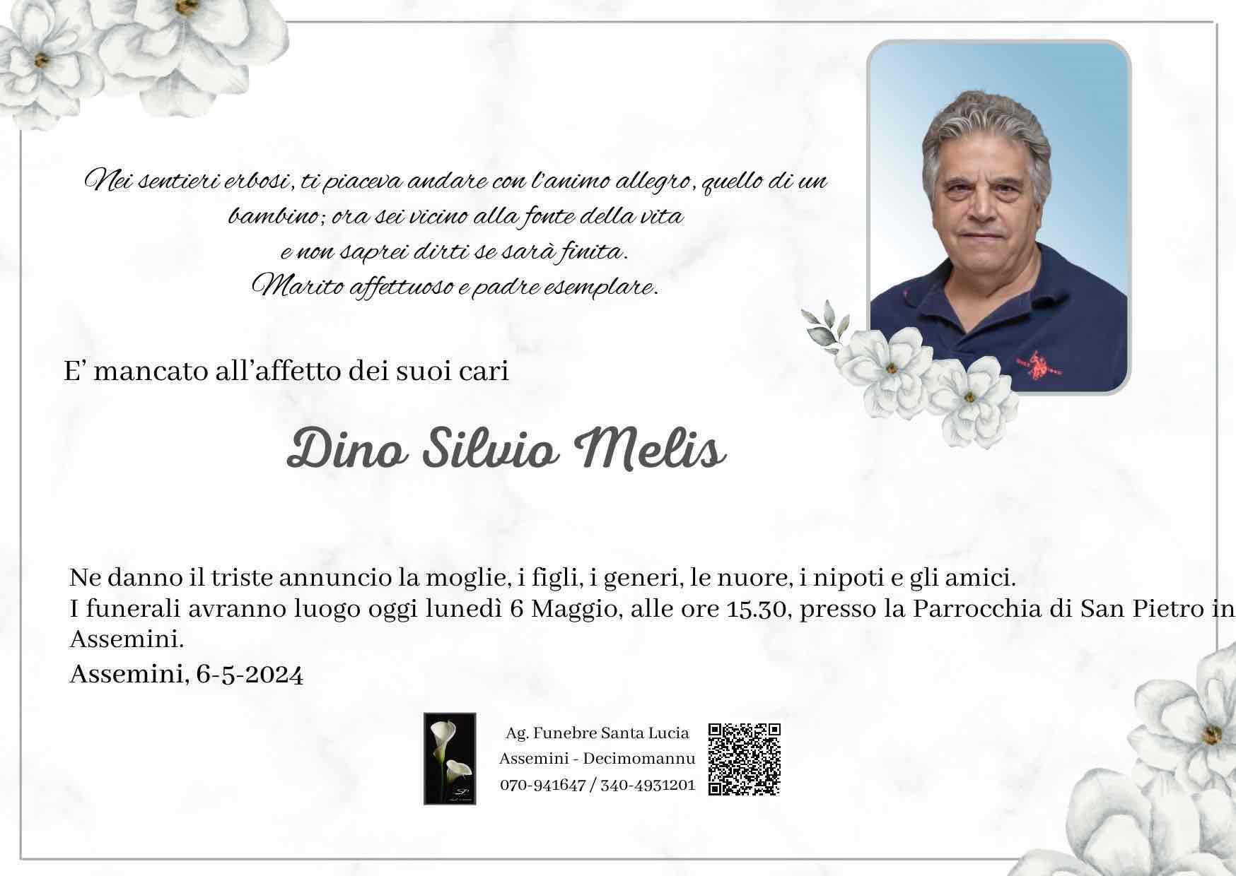 Dino Silvio Melis