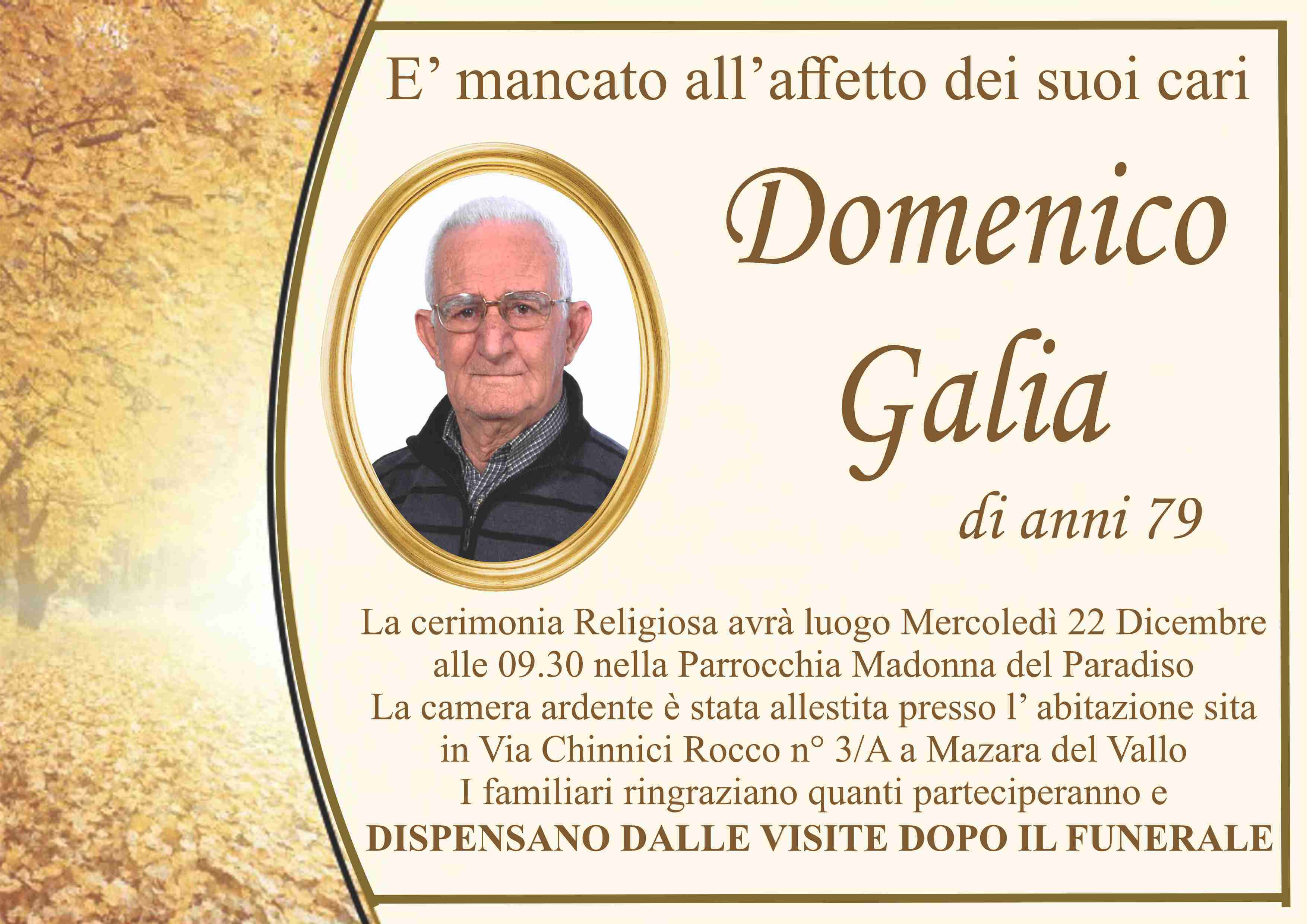 Domenico Galia