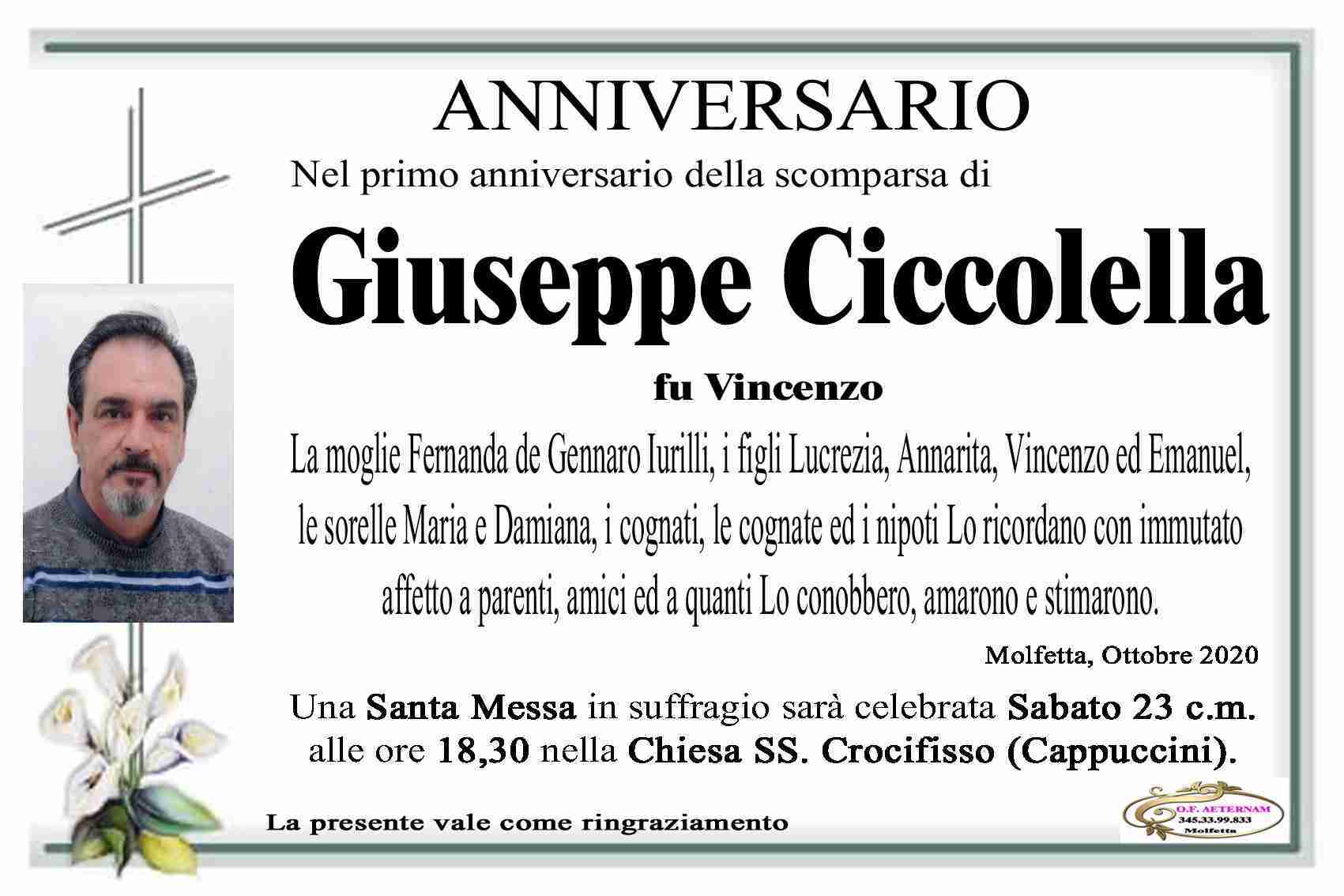 Giuseppe Ciccolella