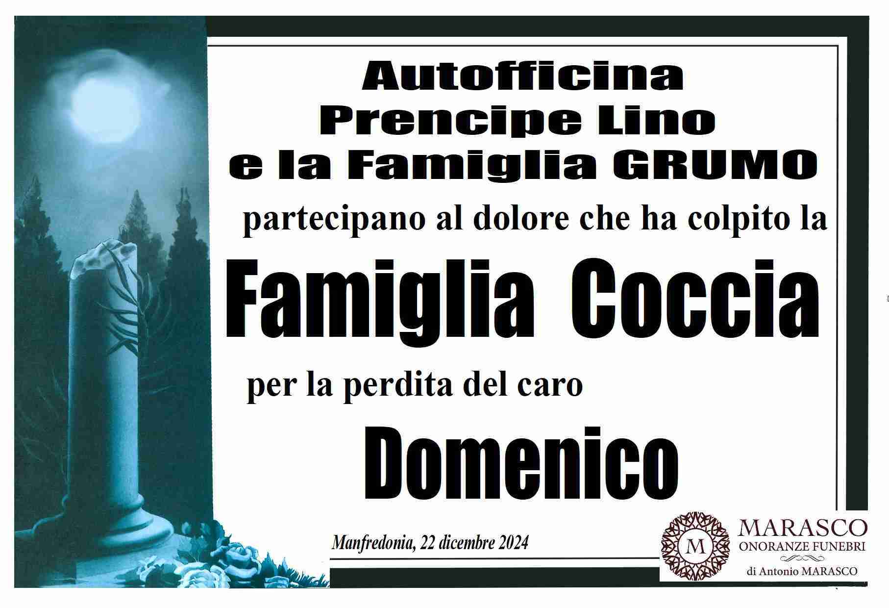 Domenico Coccia