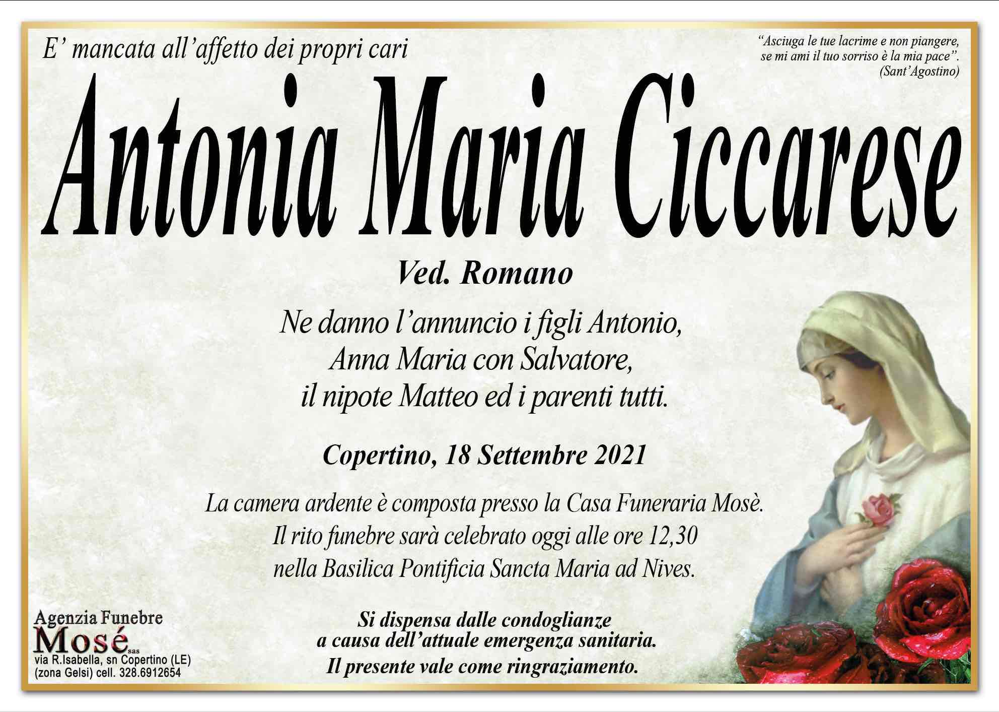 Antonia Maria Ciccarese