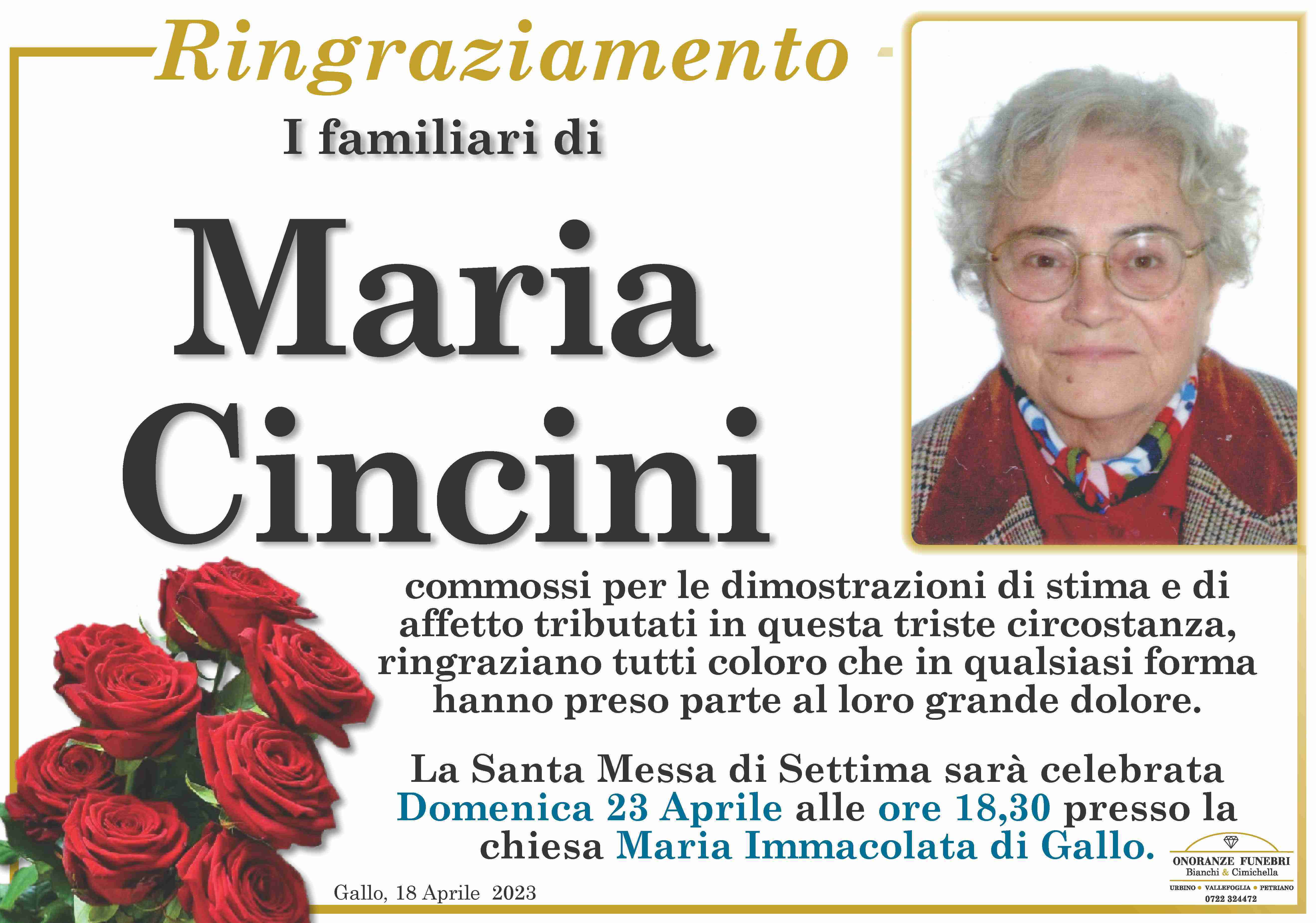 Maria Cincini