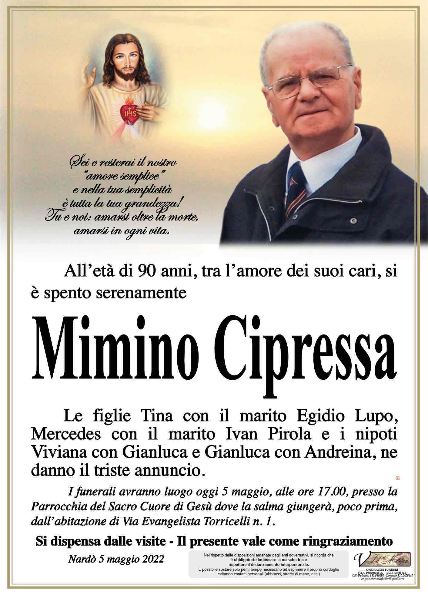 Mimino Cipressa