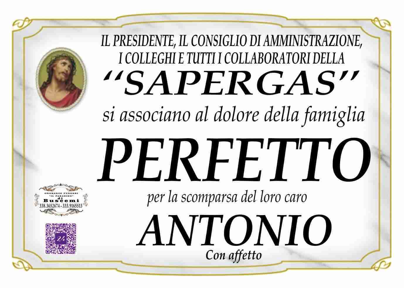Antonio Perfetto