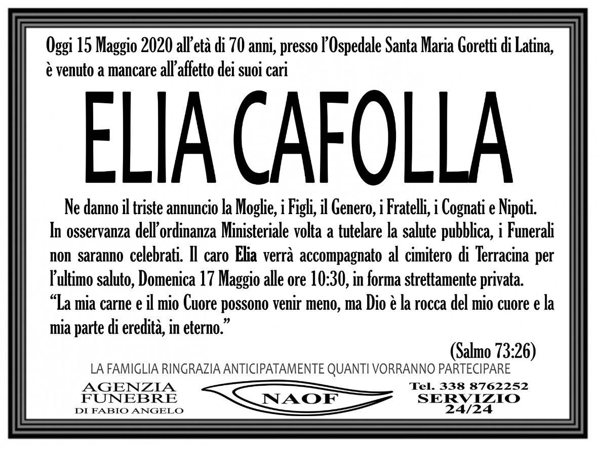 Elia Cafolla
