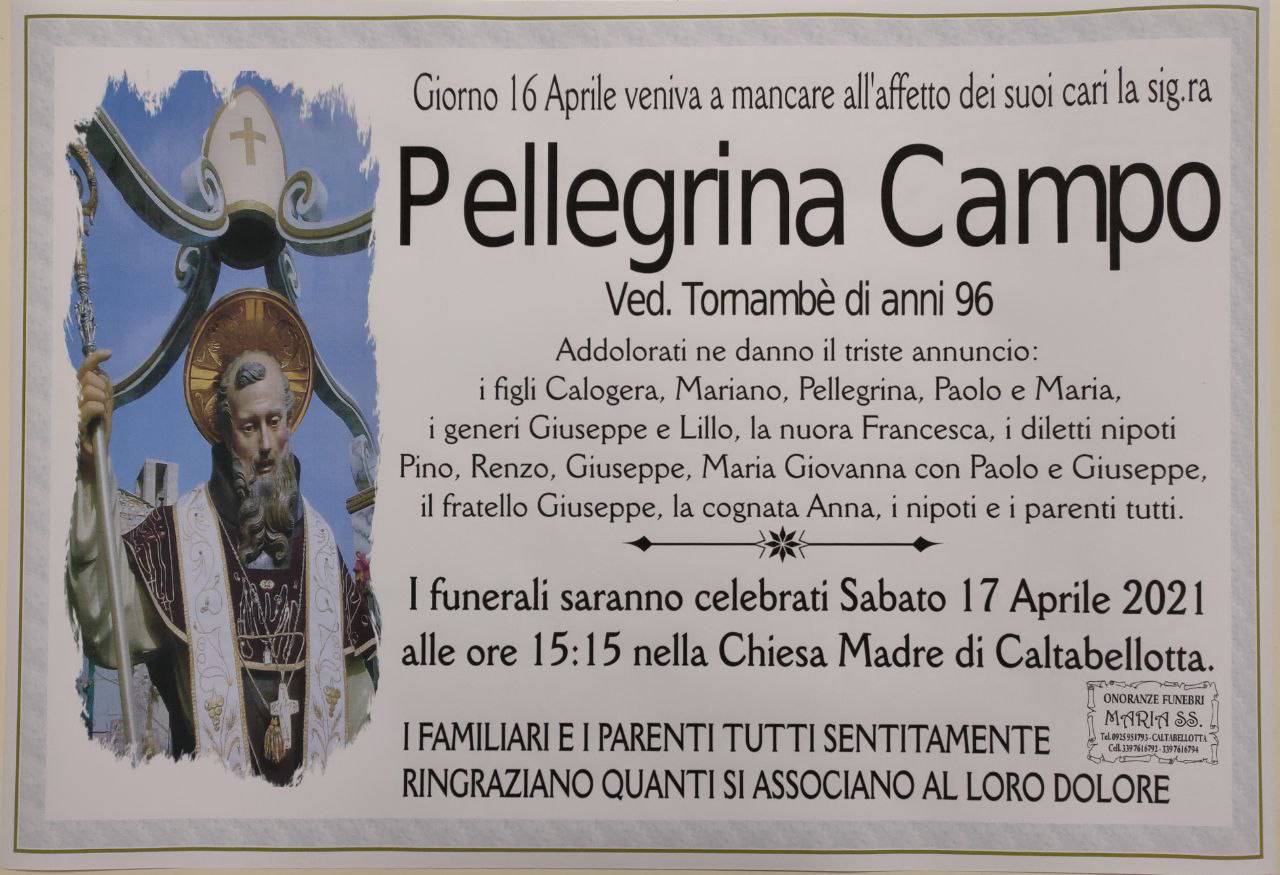 Pellegrina Campo