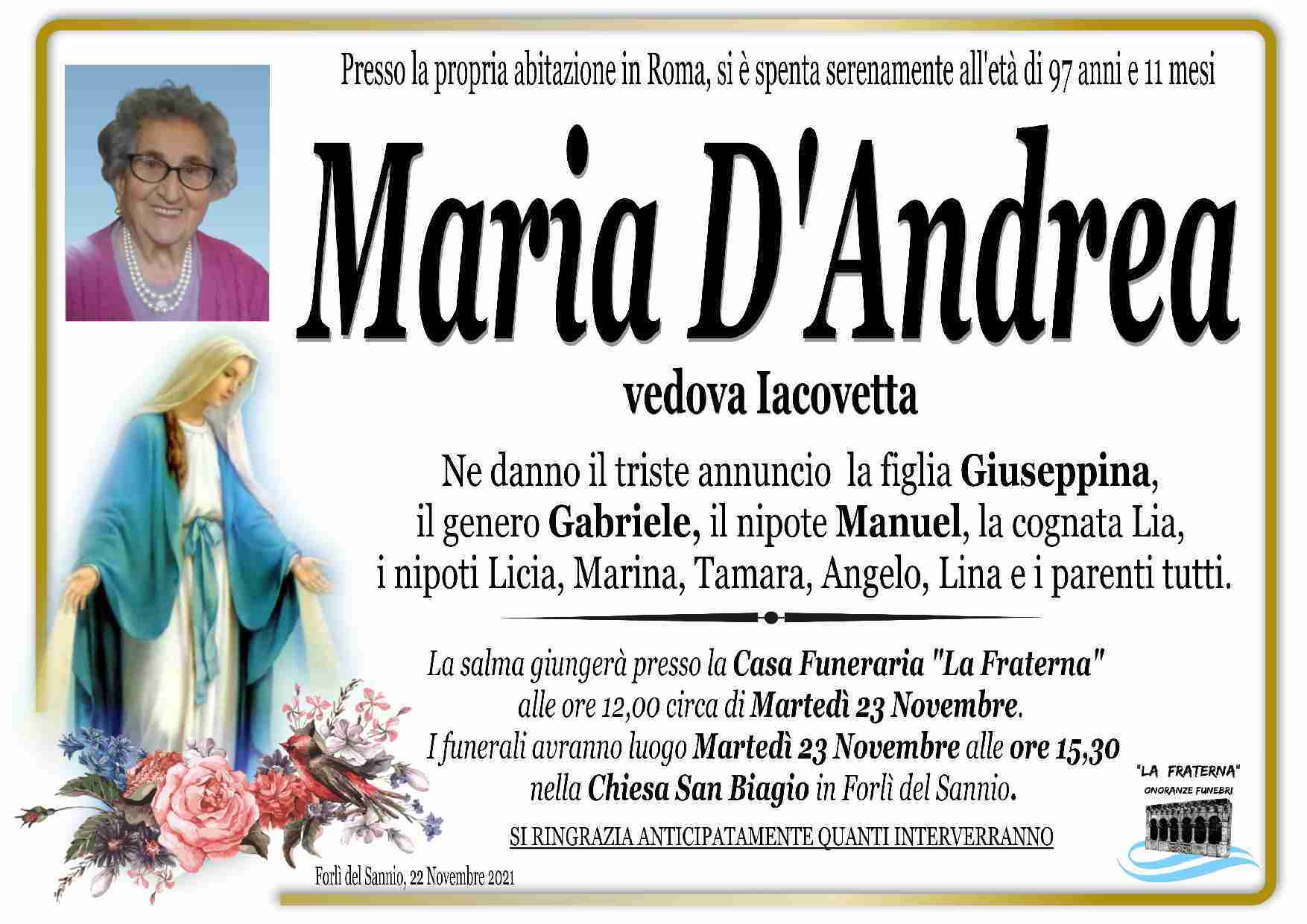 Maria D'Andrea