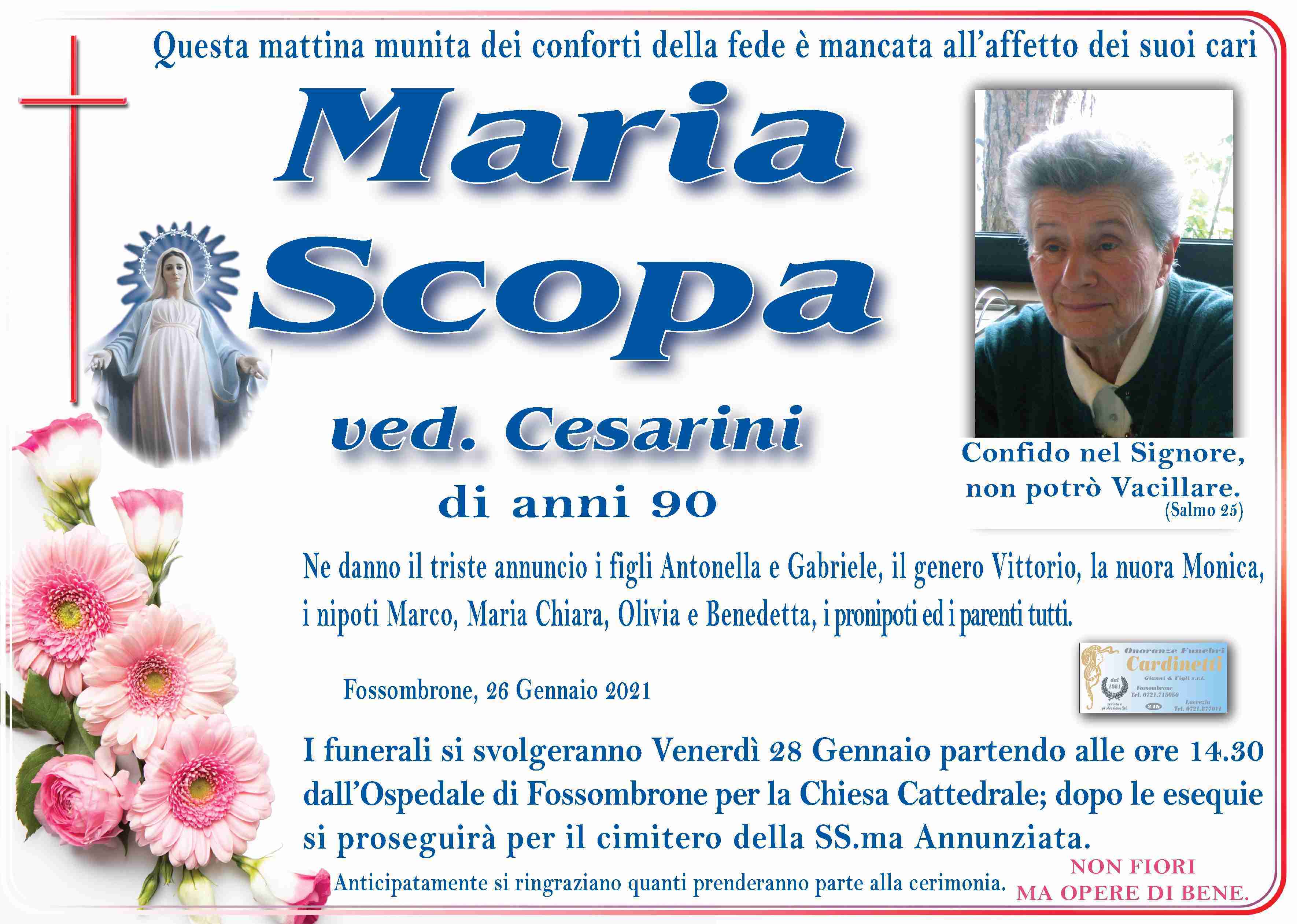 Maria Scopa