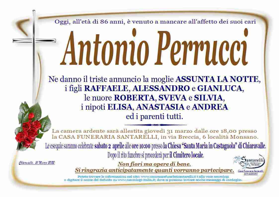 Antonio Perrucci
