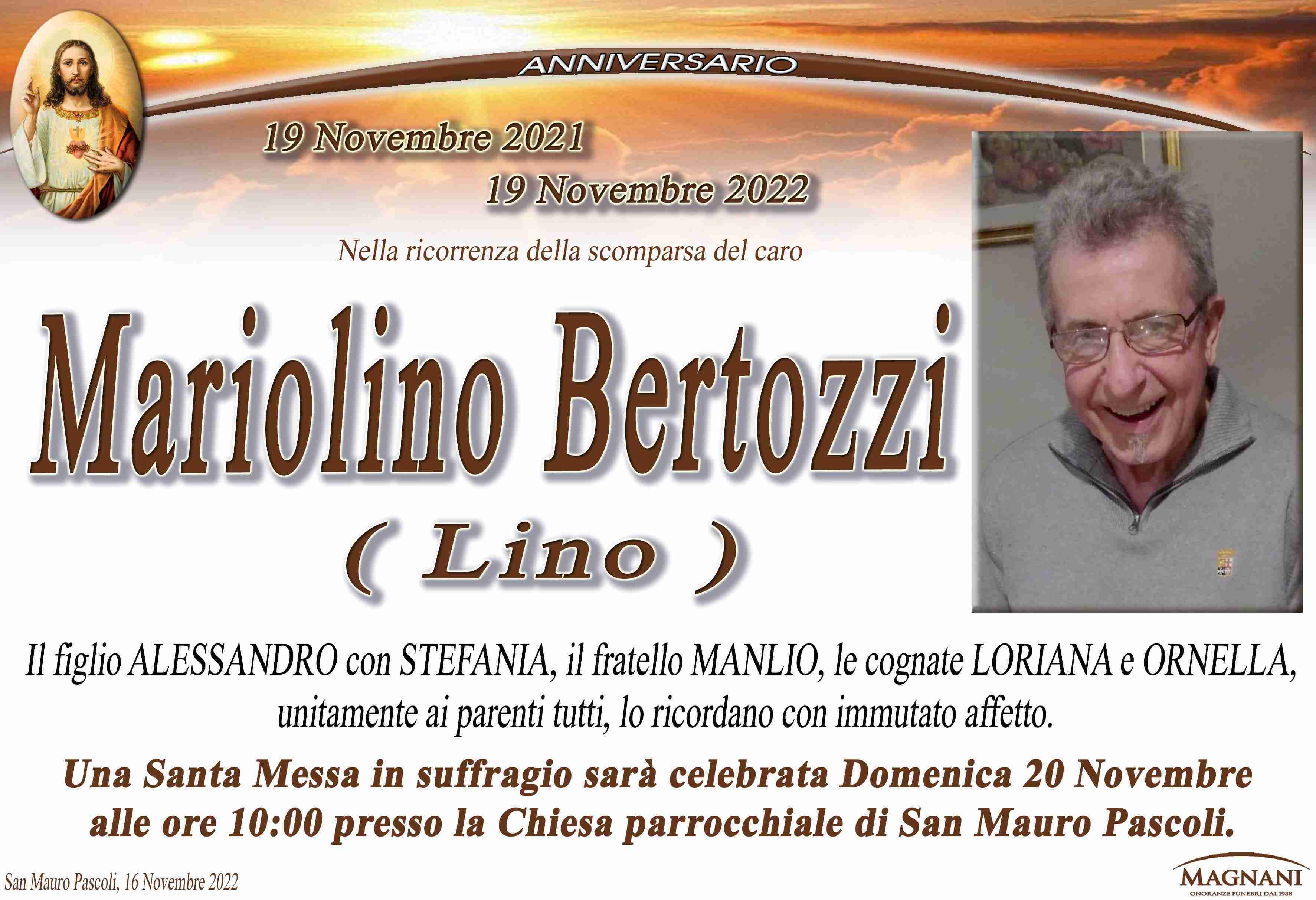 Mariolino Bertozzi