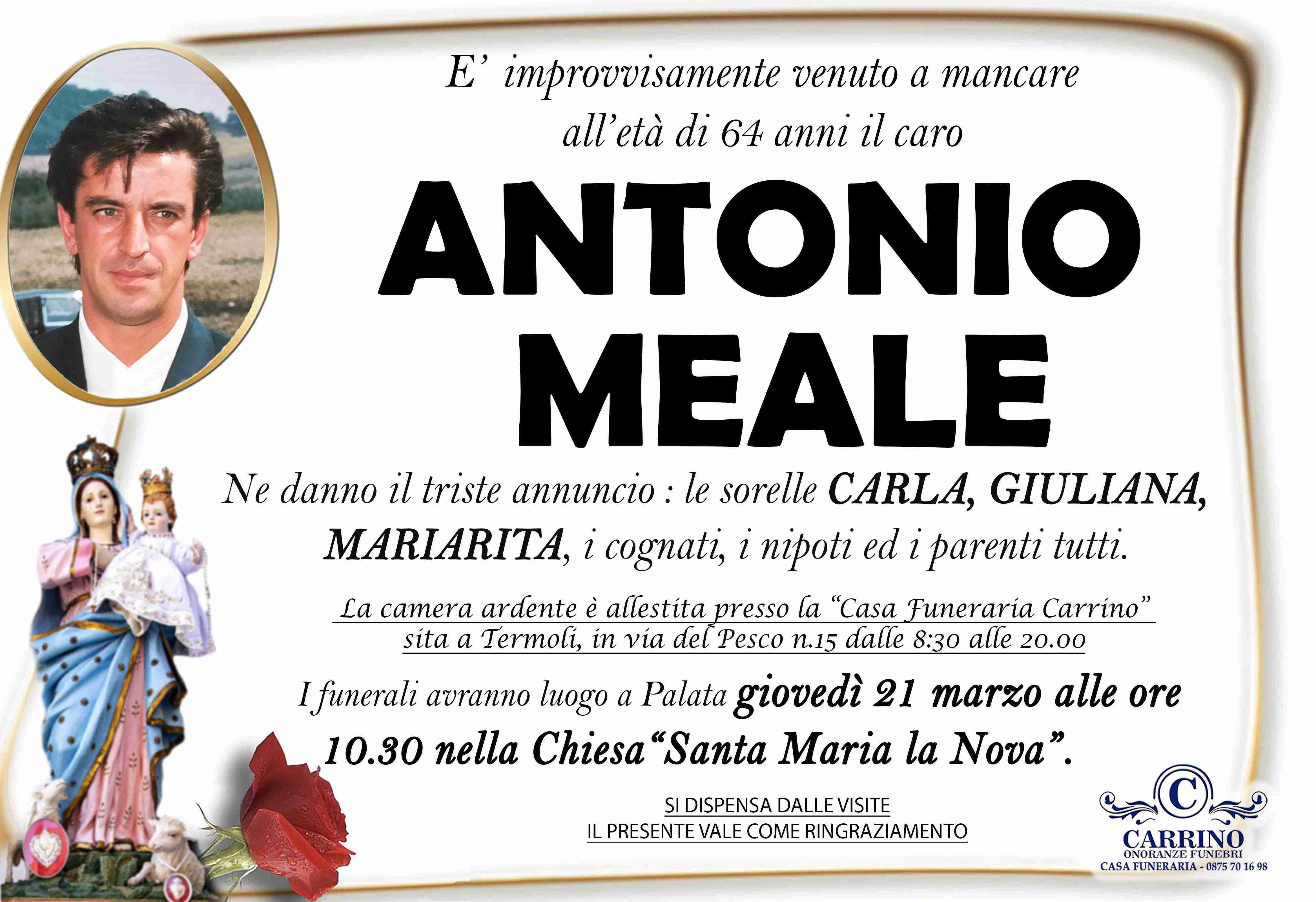 Antonio Meale