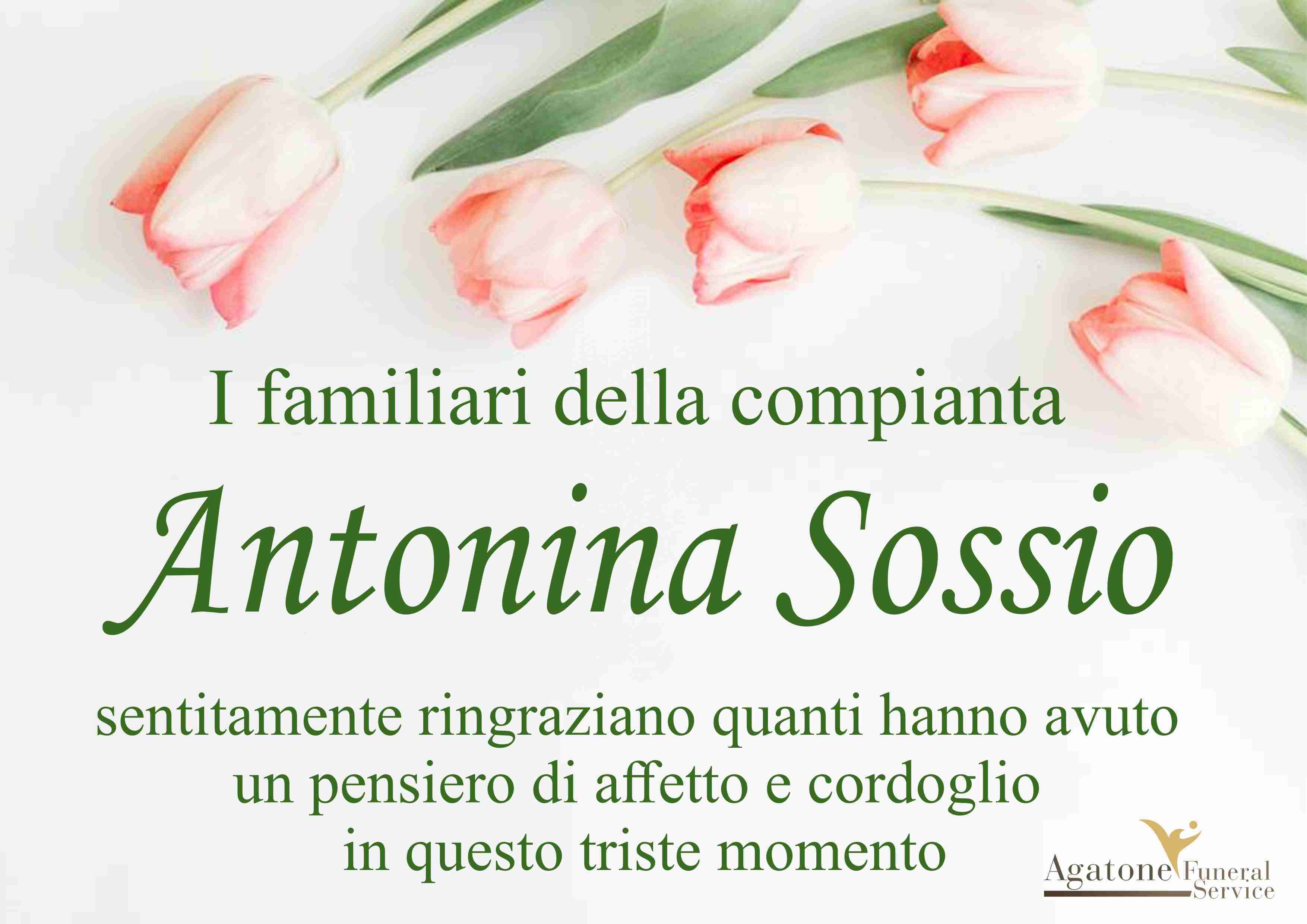 Antonina Sossio