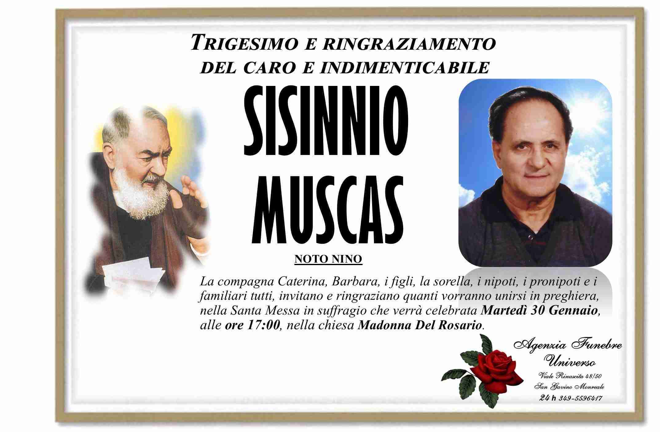 Sisinnio Muscas