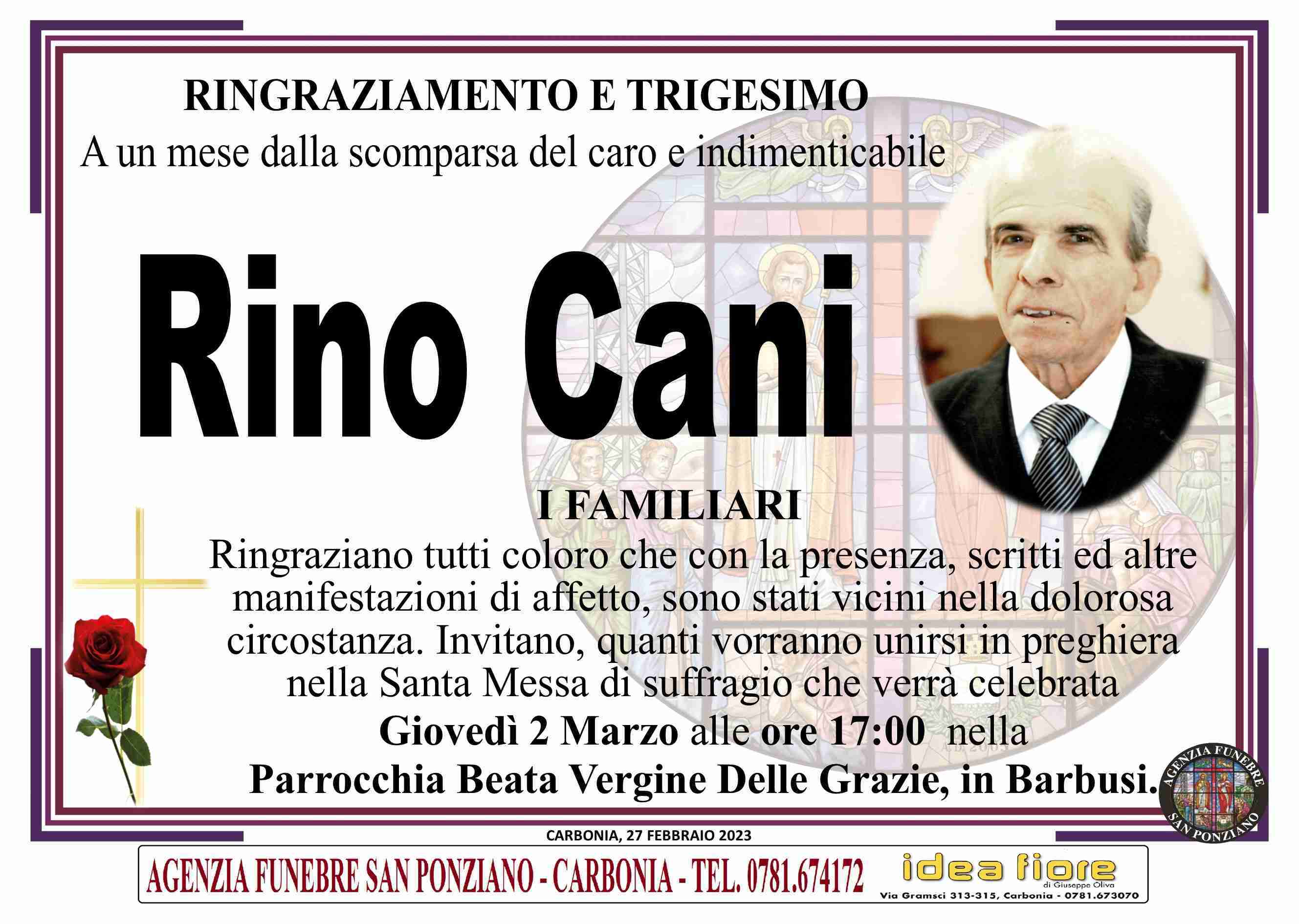 Rino Cani