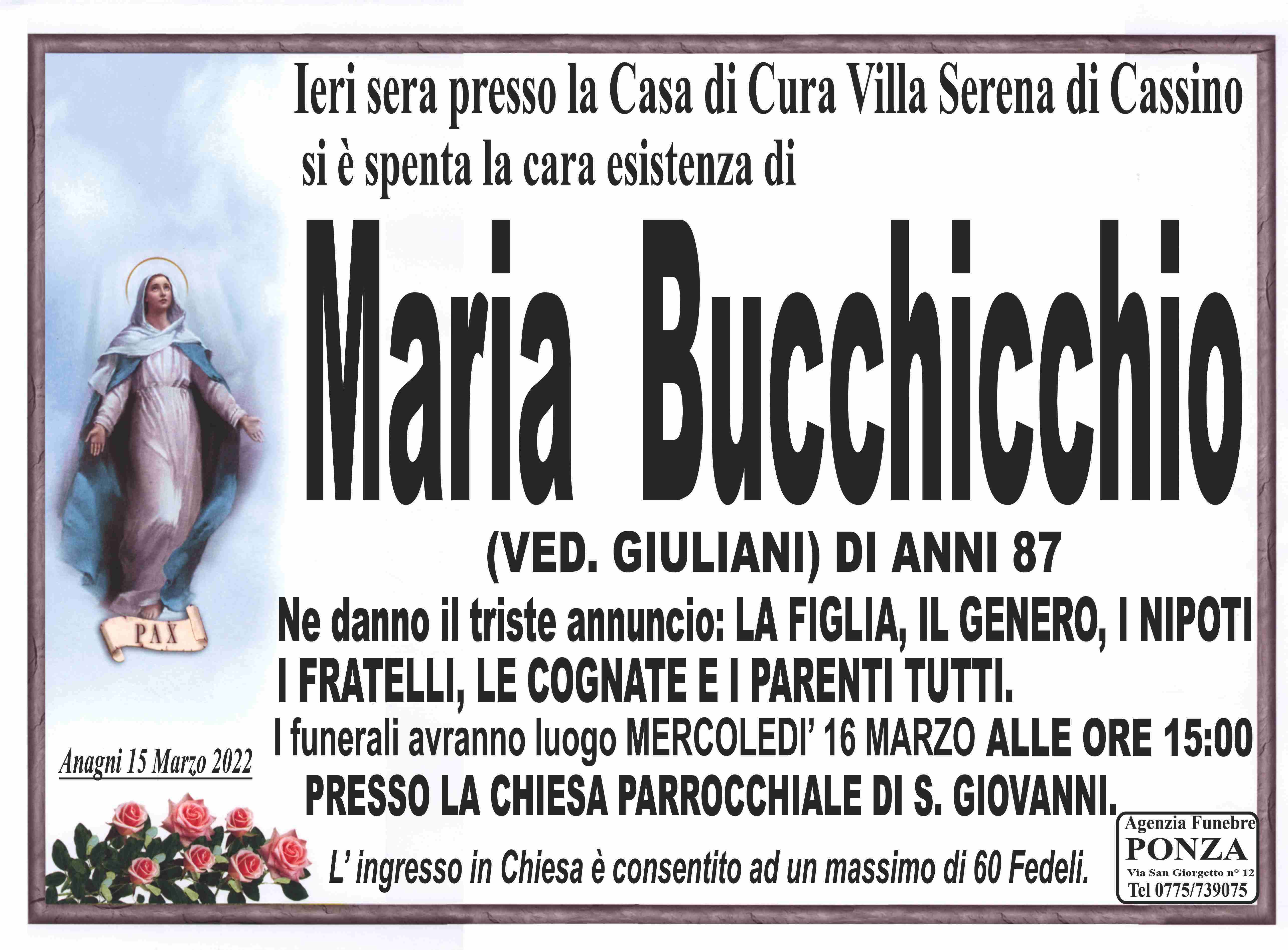 Maria Bucchicchio