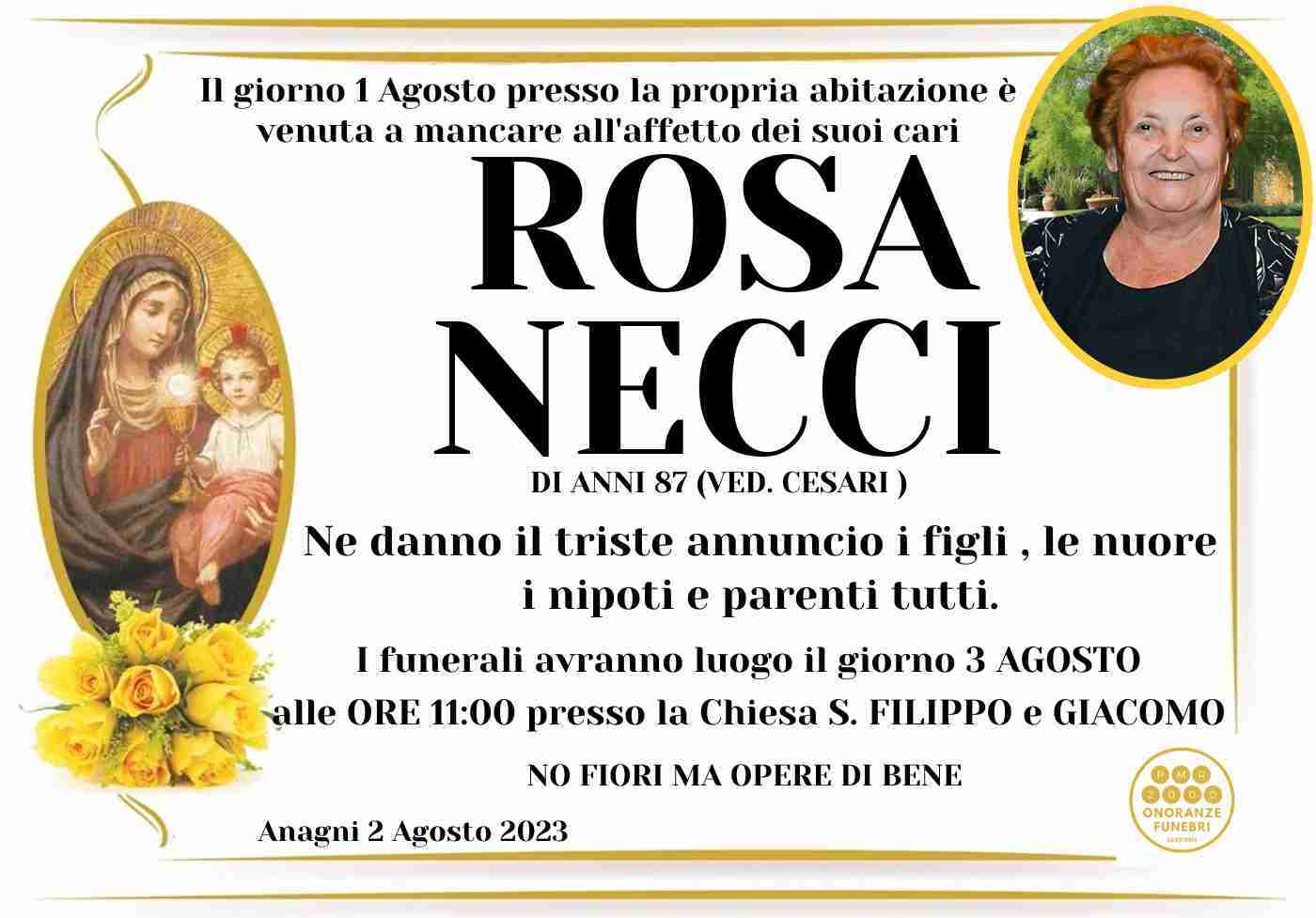 Rosa Necci