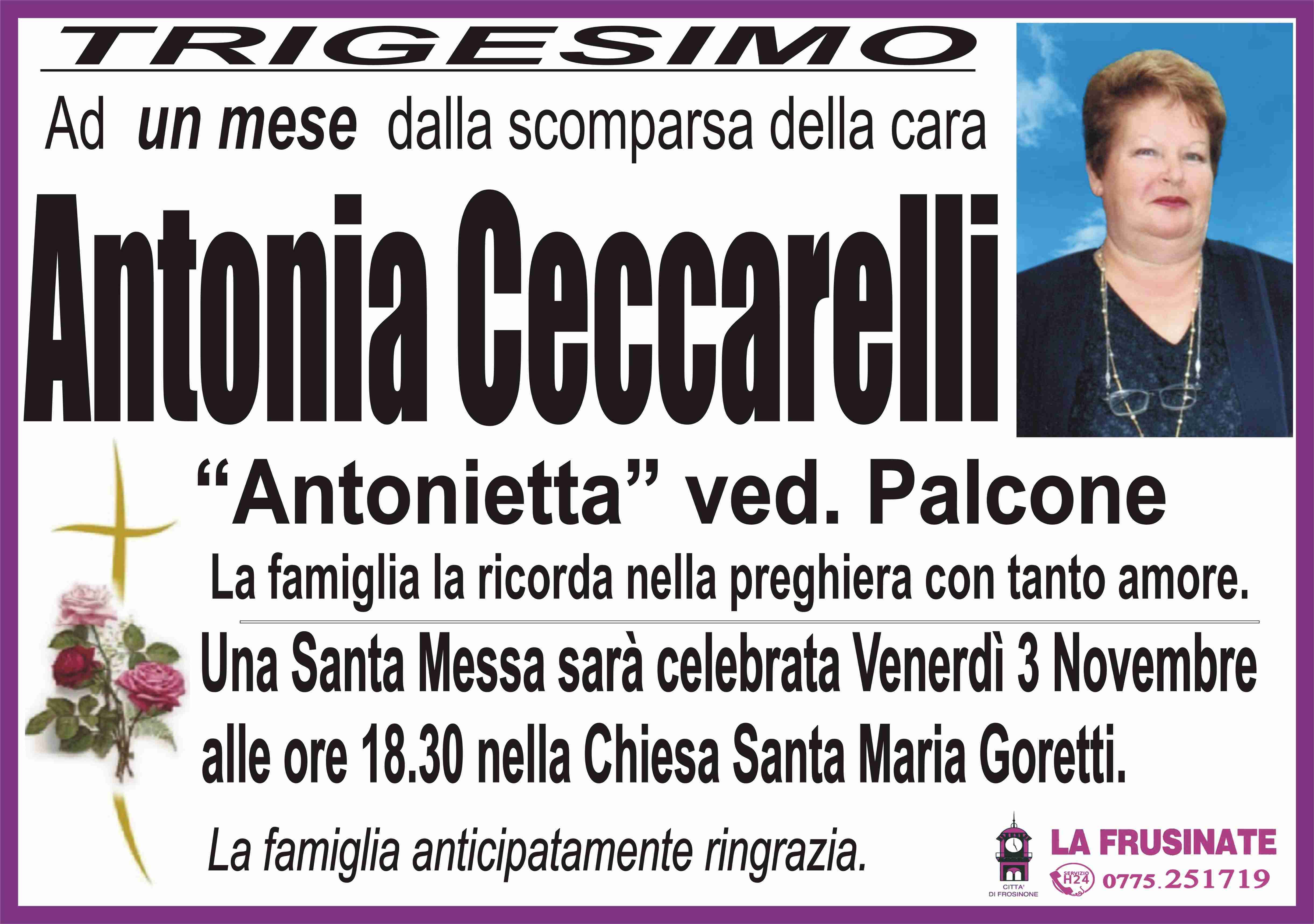 Antonia Ceccarelli