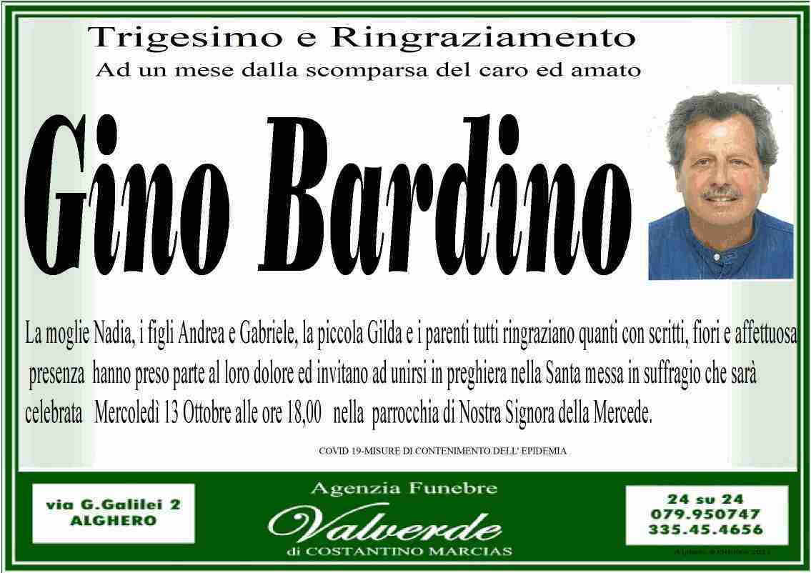 Gino Bardino