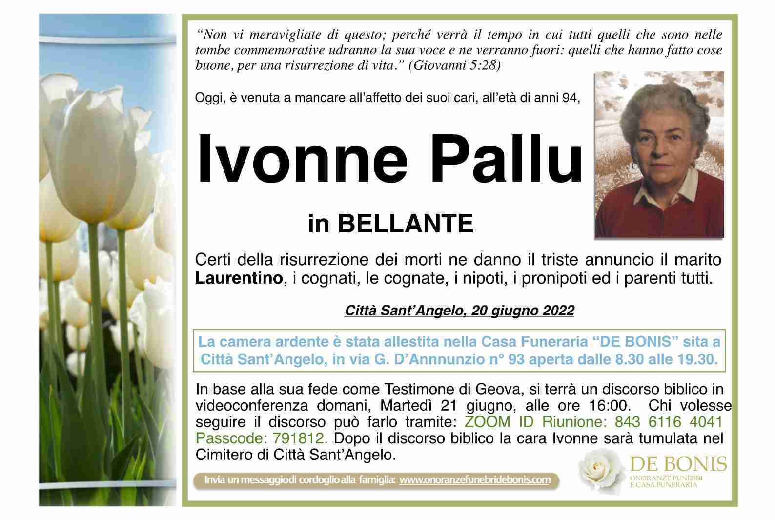 Ivonne Pallu