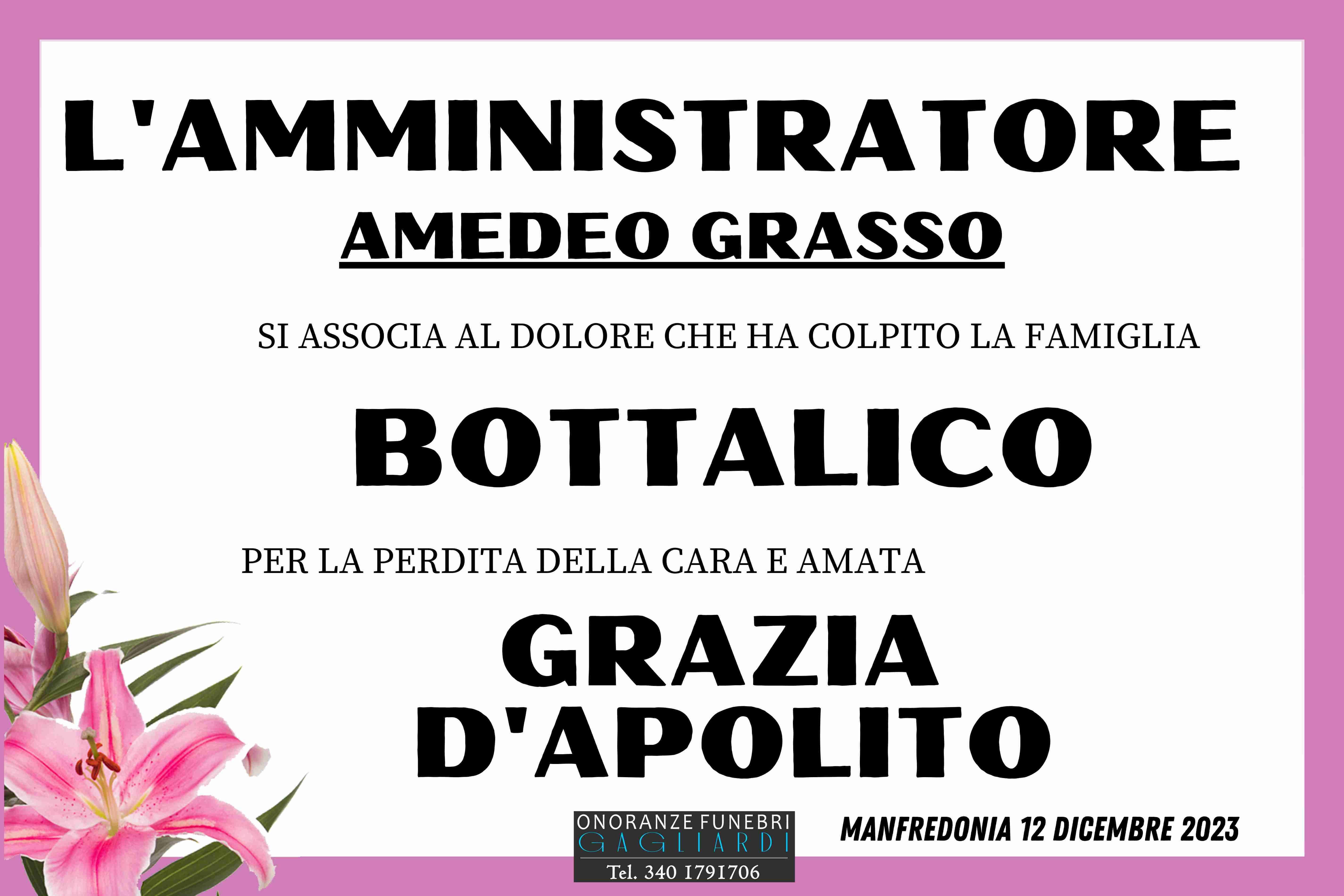 Grazia D'Apolito