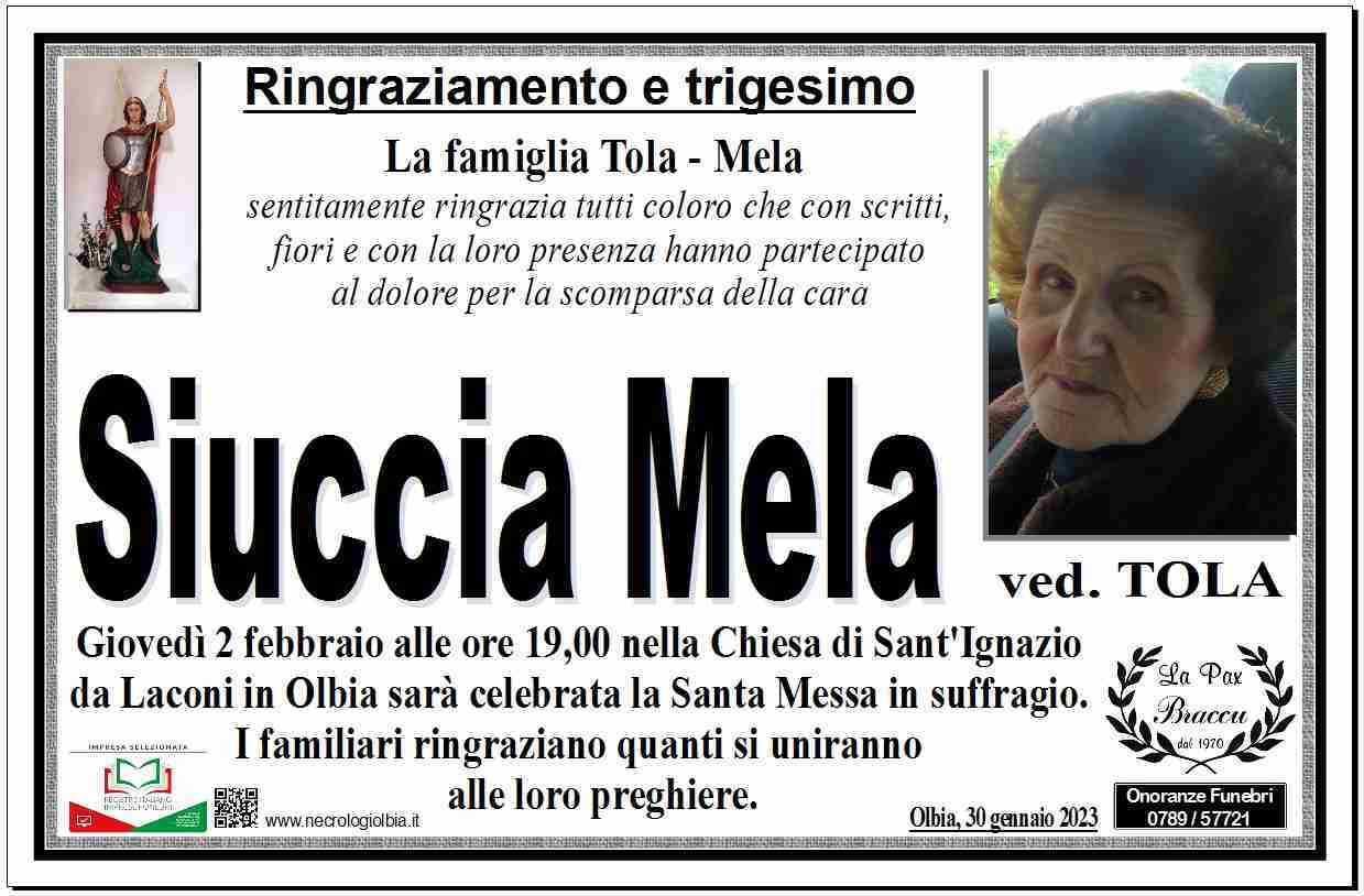 Siuccia Mela