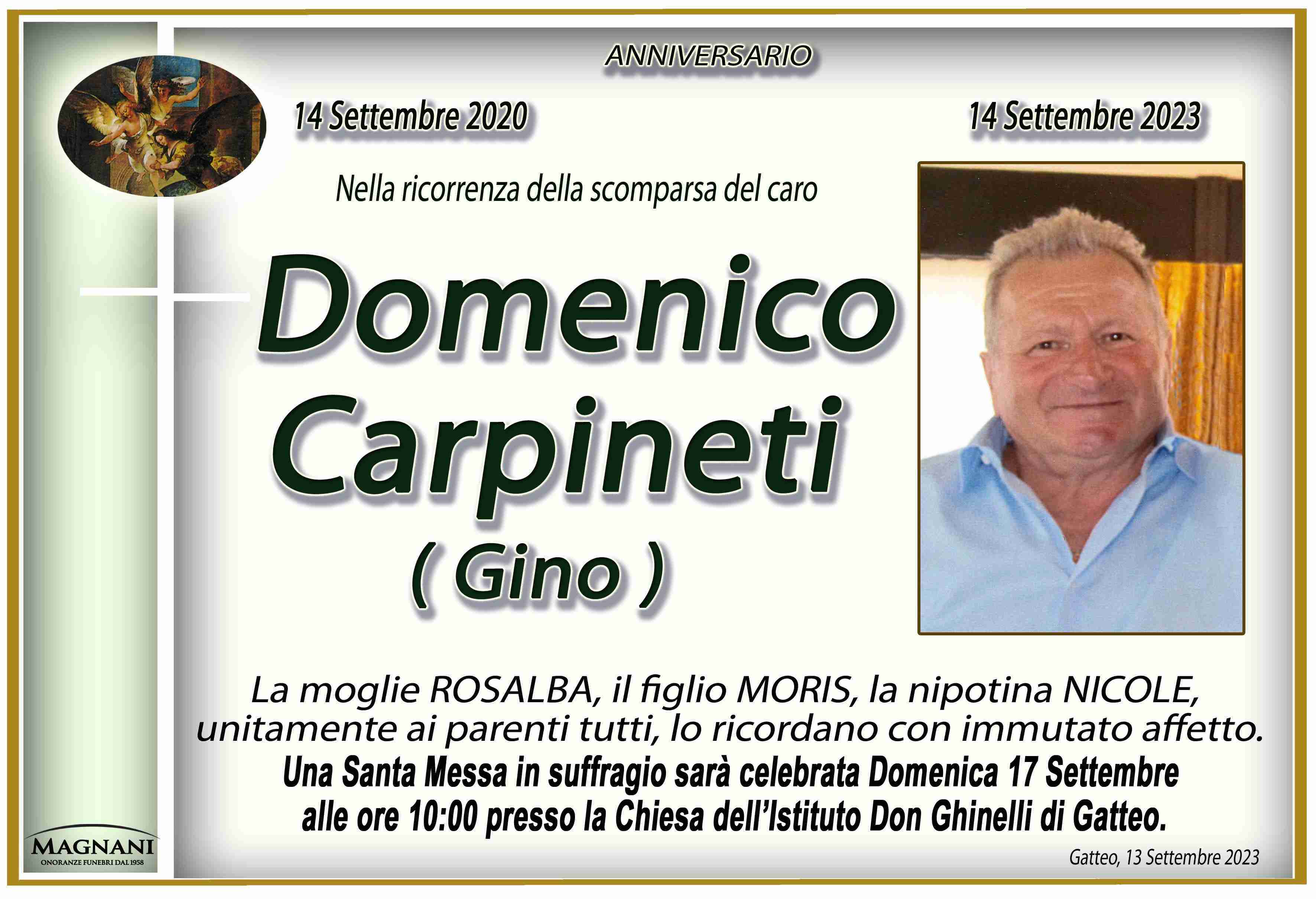 Domenico Carpineti