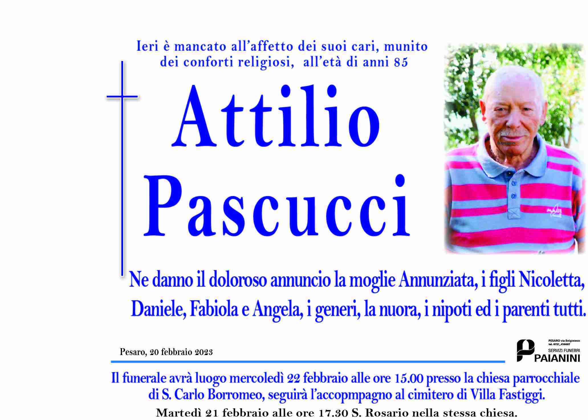 Attilio Pascucci