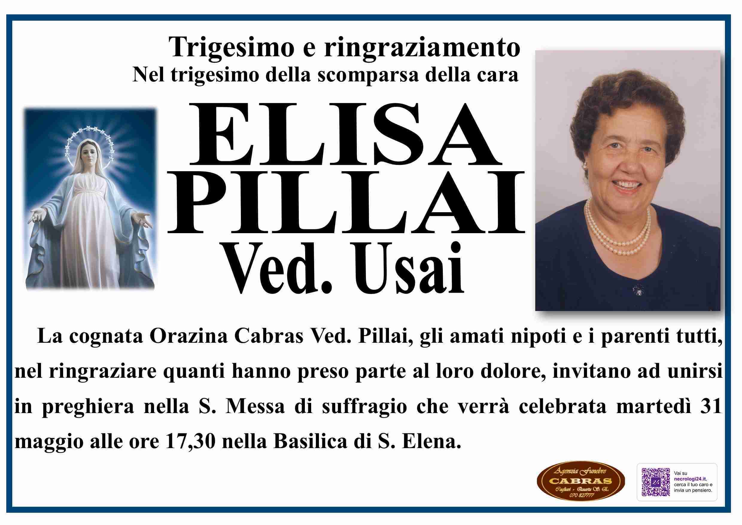 Elisa Pillai
