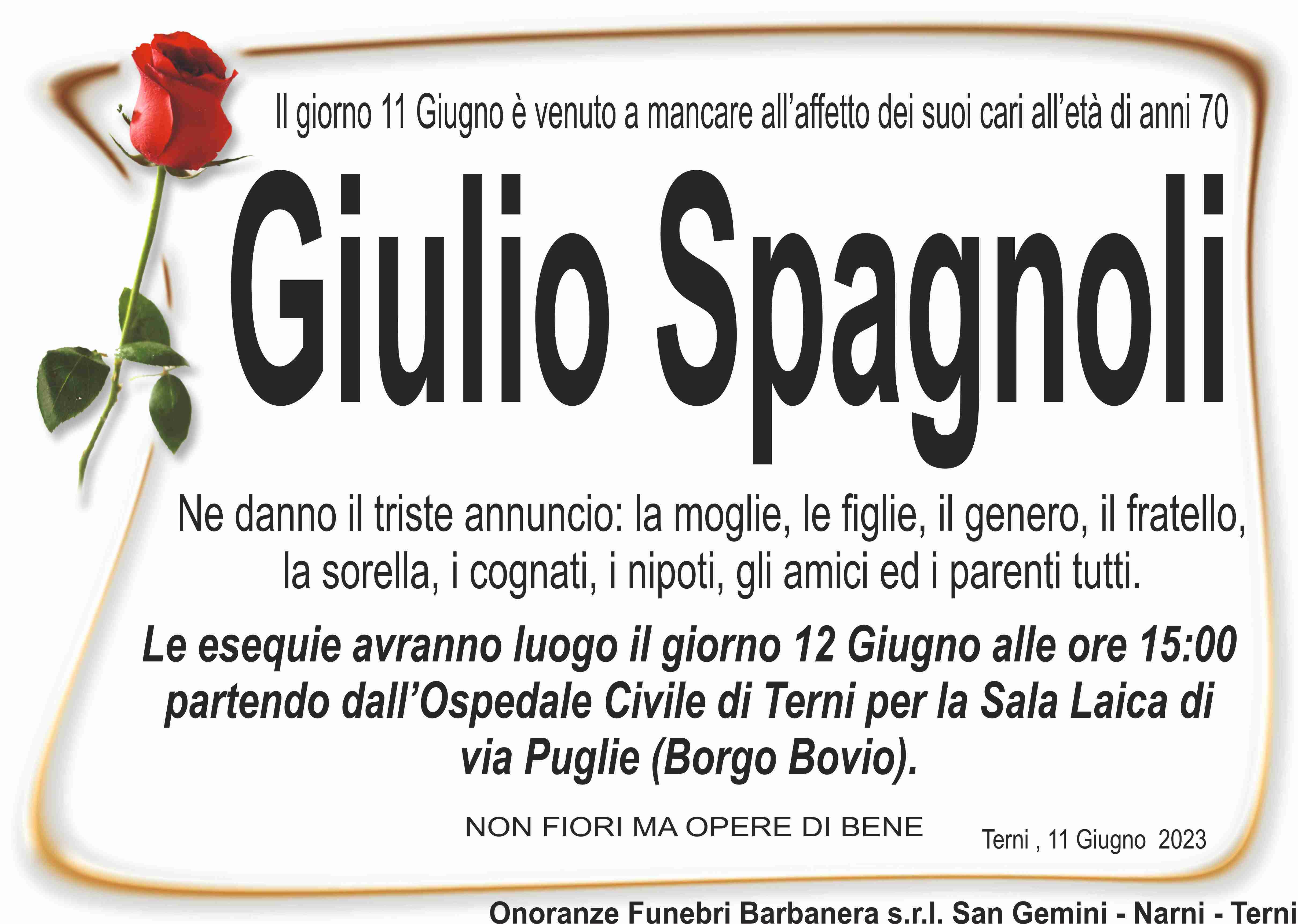 Giulio Spagnoli