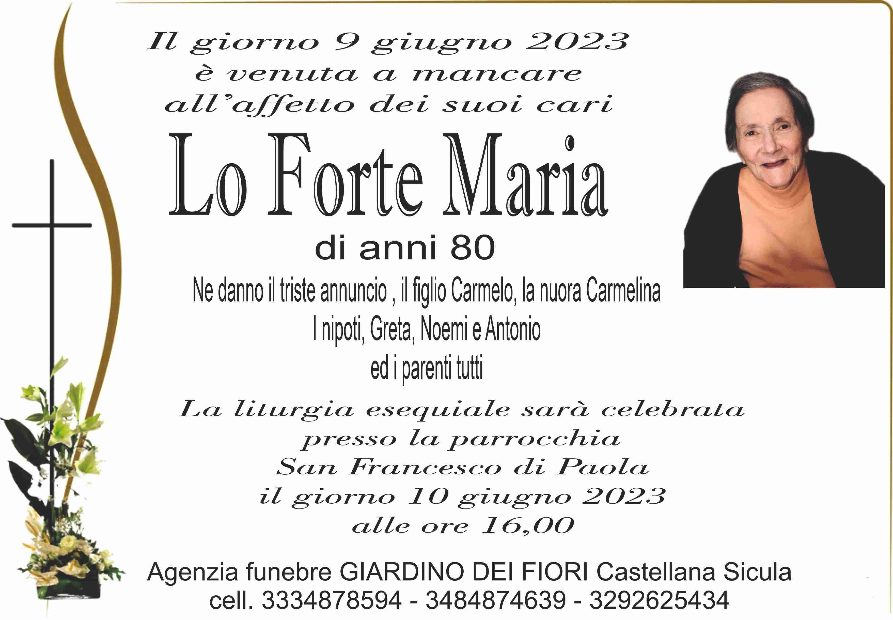 Maria Lo Forte