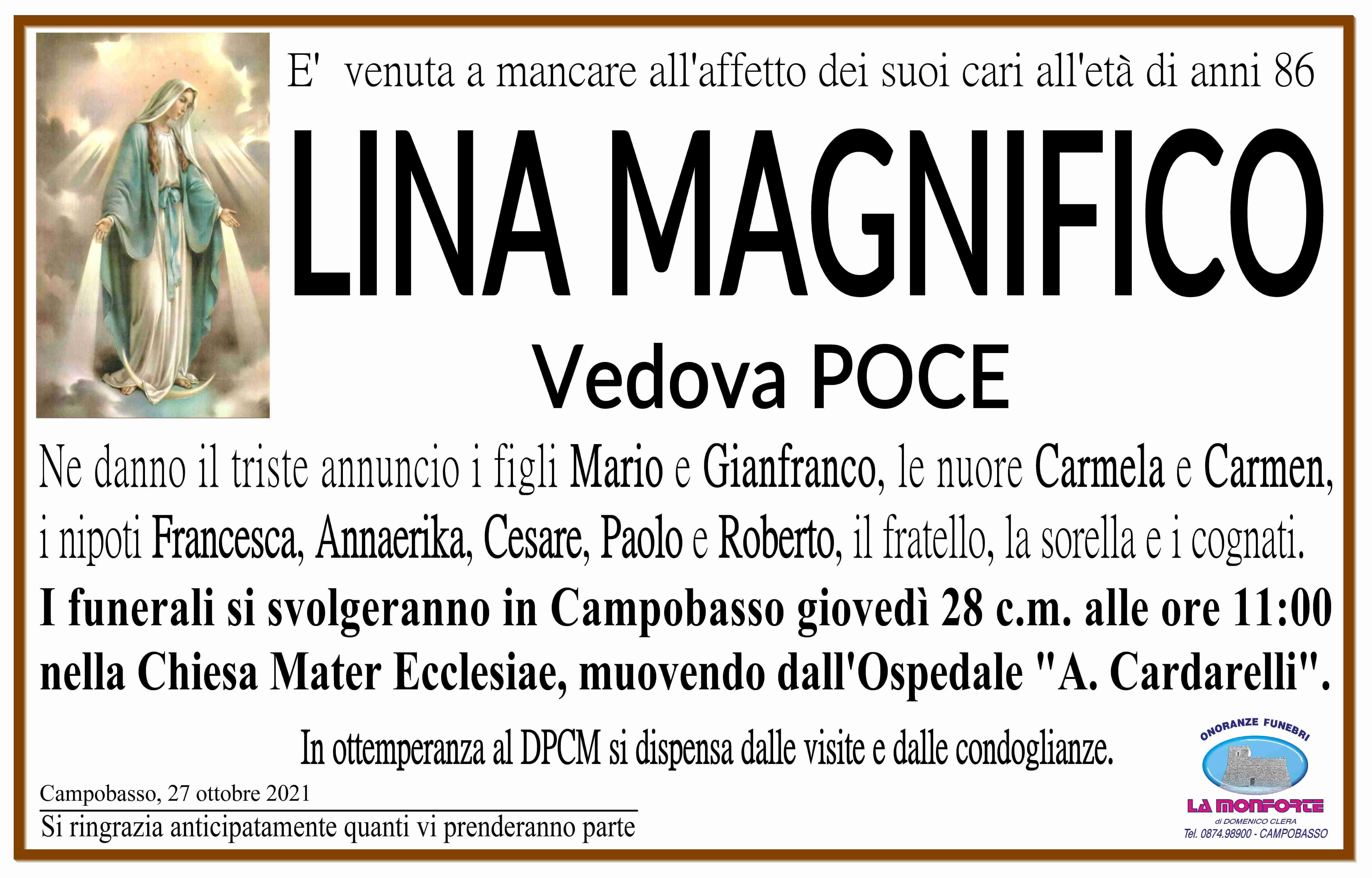 Lina Magnifico