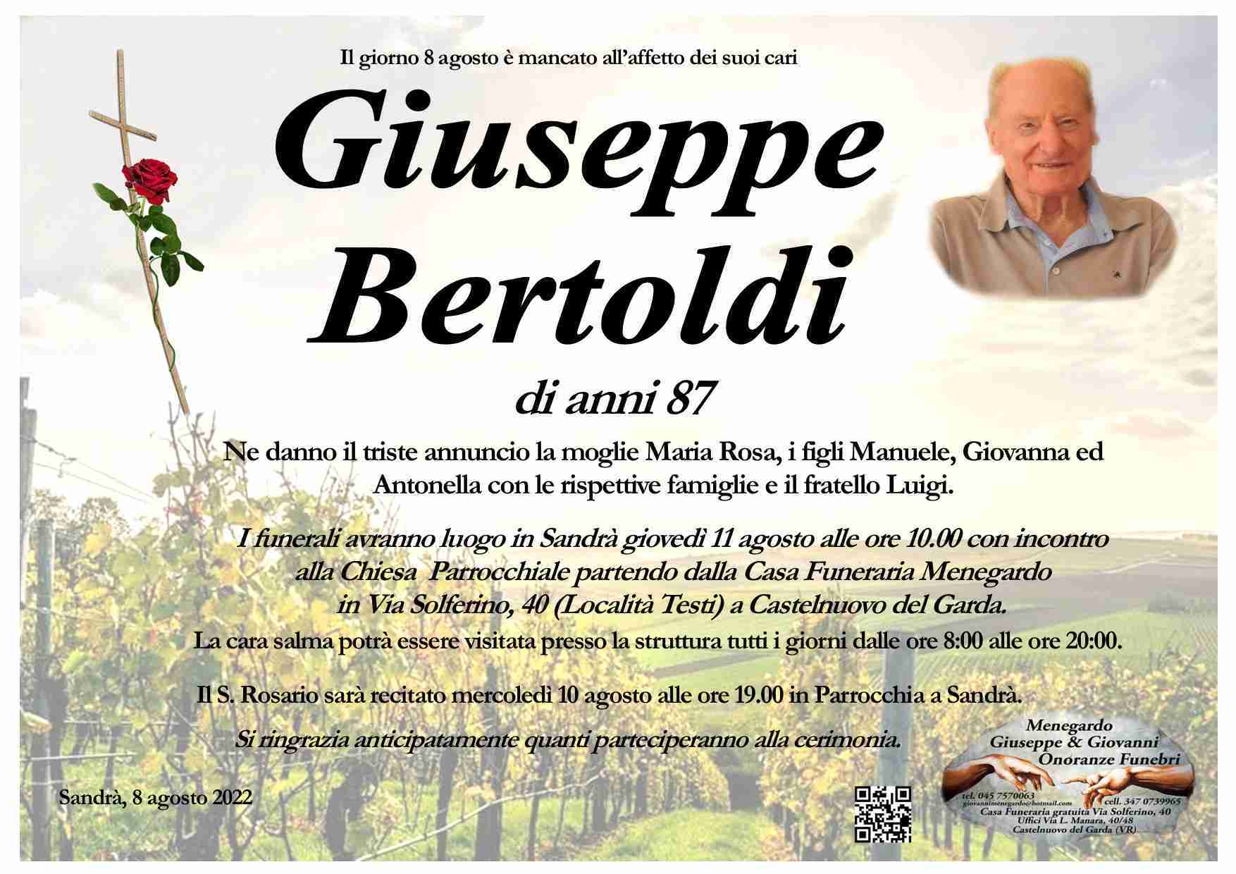 Giuseppe Bertoldi