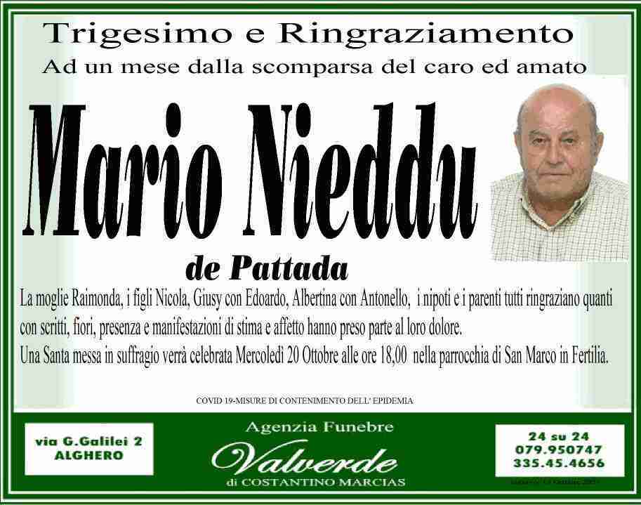 Mario Nieddu