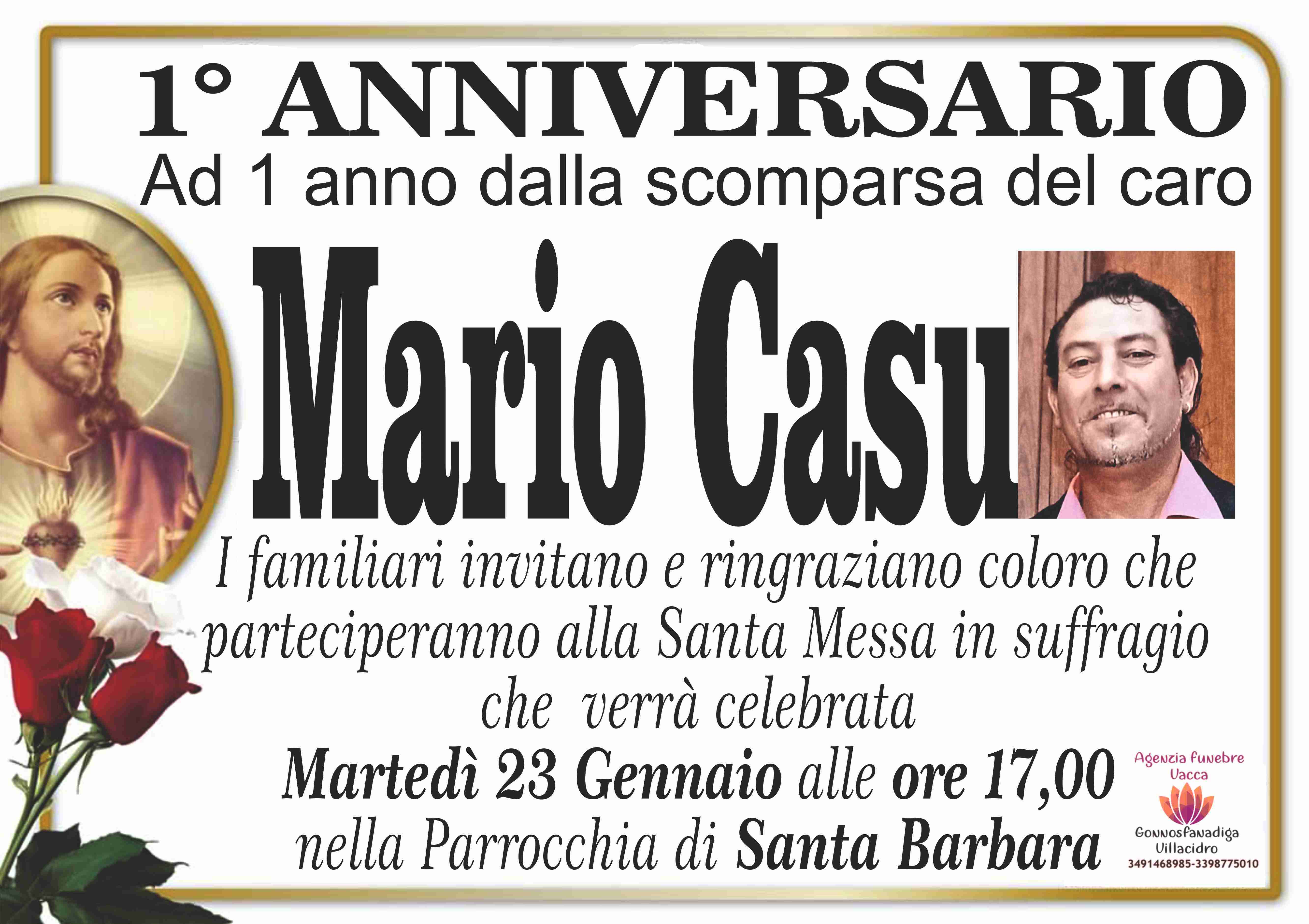 Mario Casu
