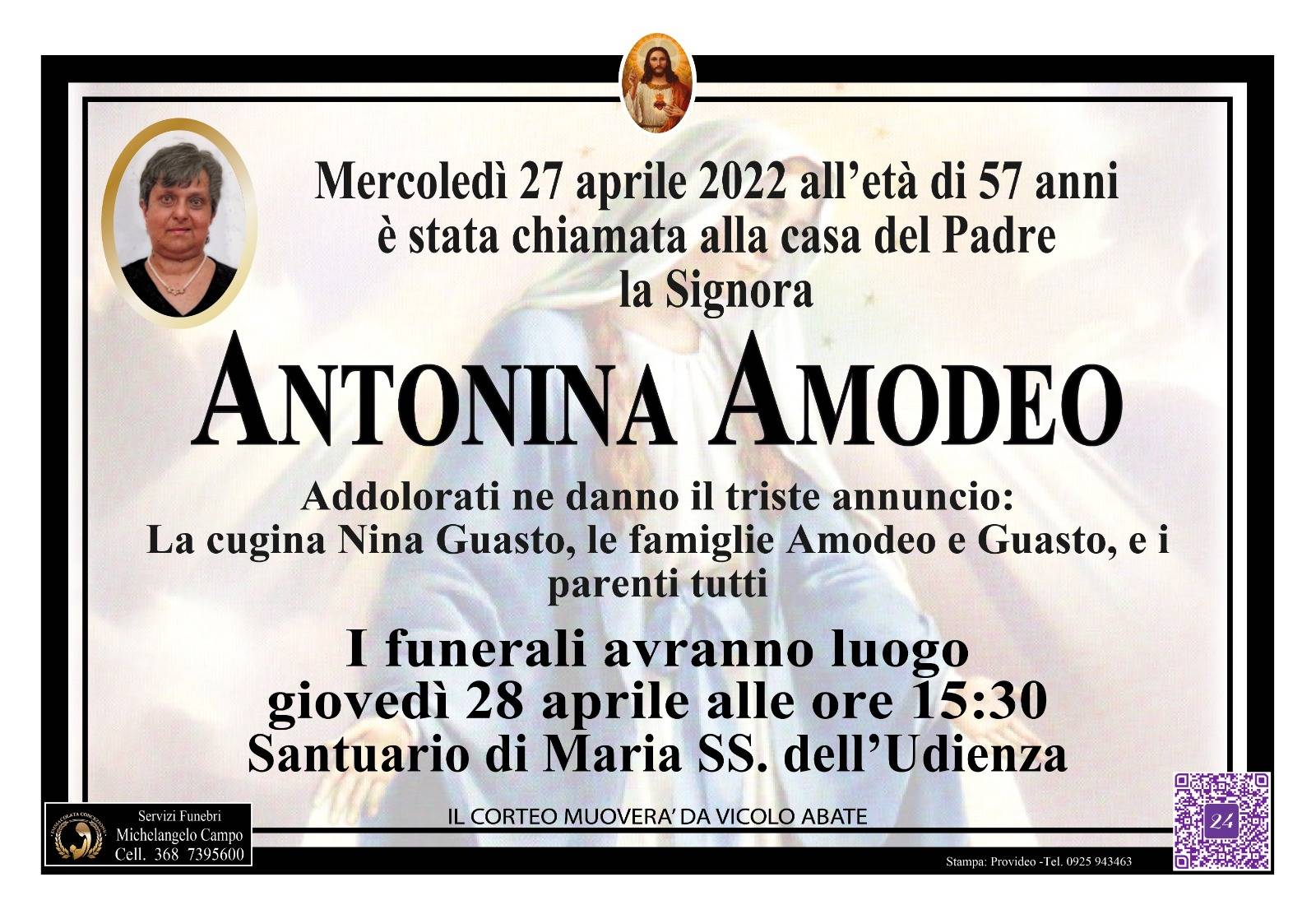 Antonina Amodeo
