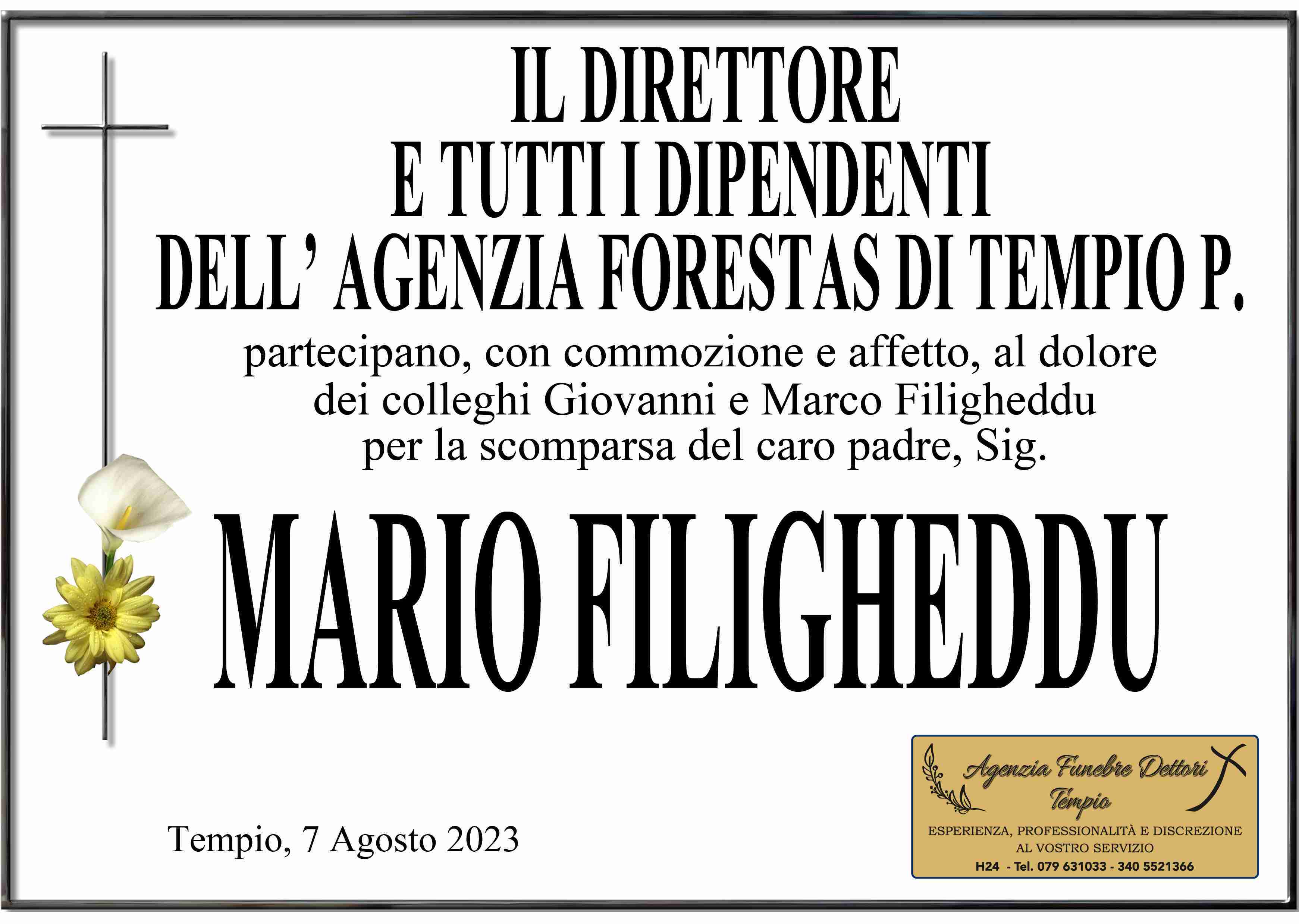 Mario Filigheddu