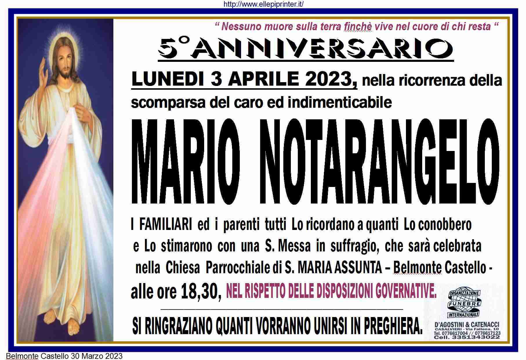 Mario Notarangelo