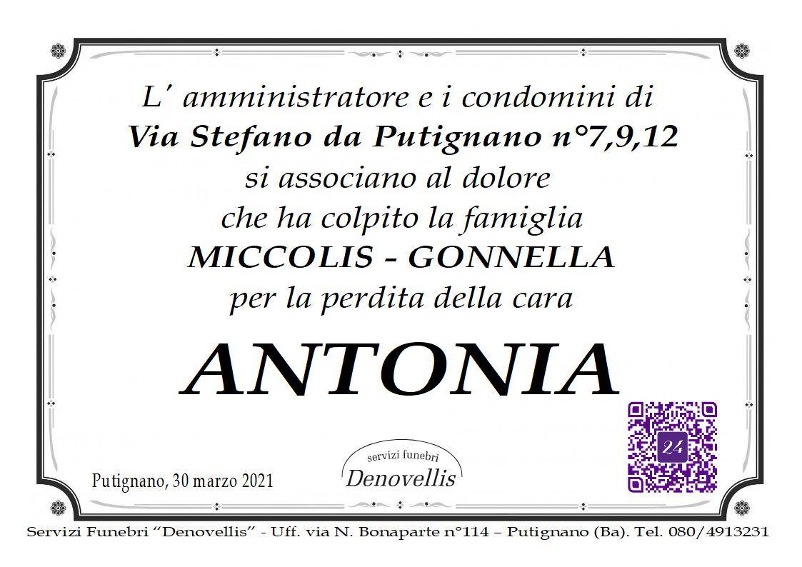 Antonia Gonnella (P1)