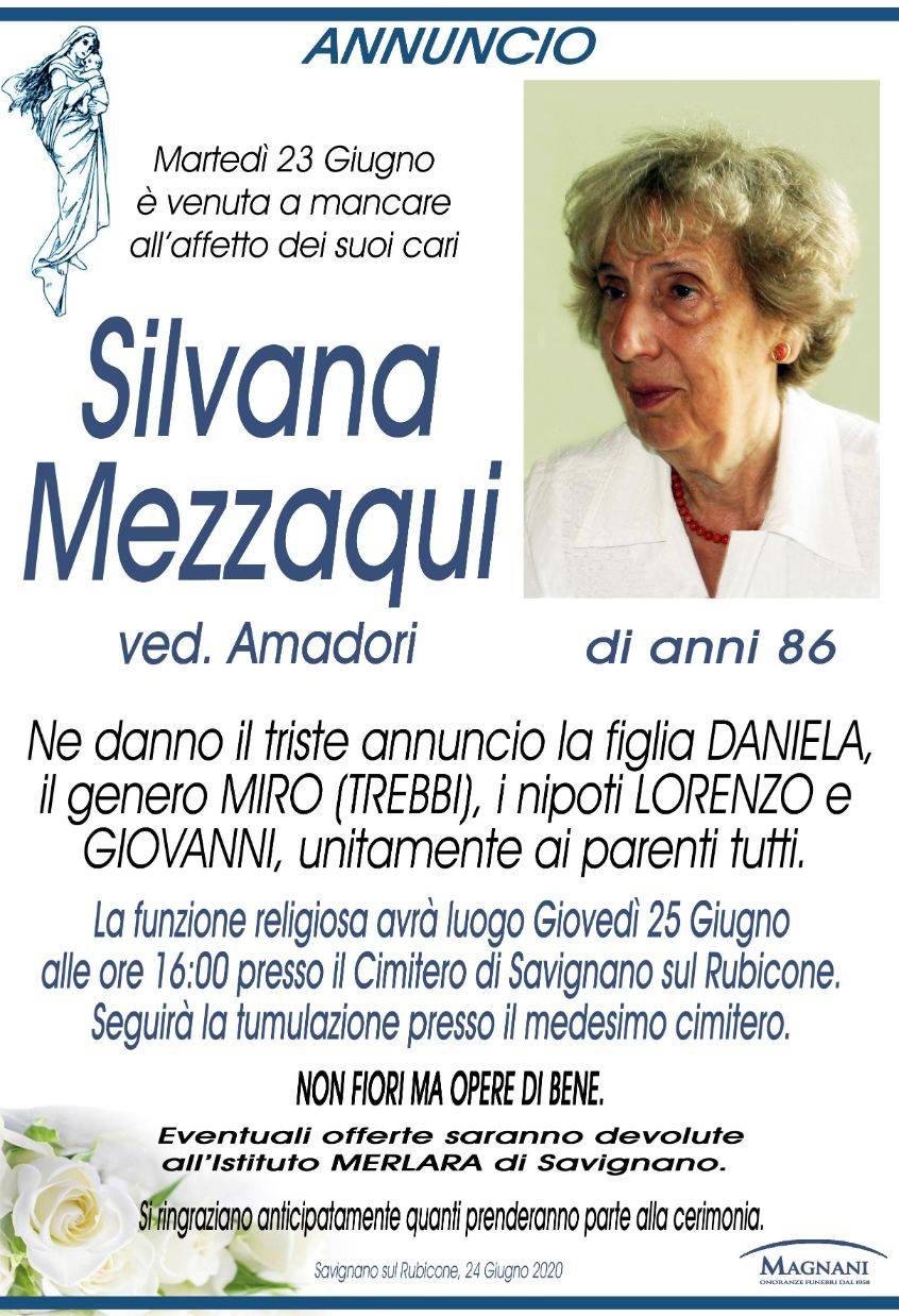Silvana Mezzaqui
