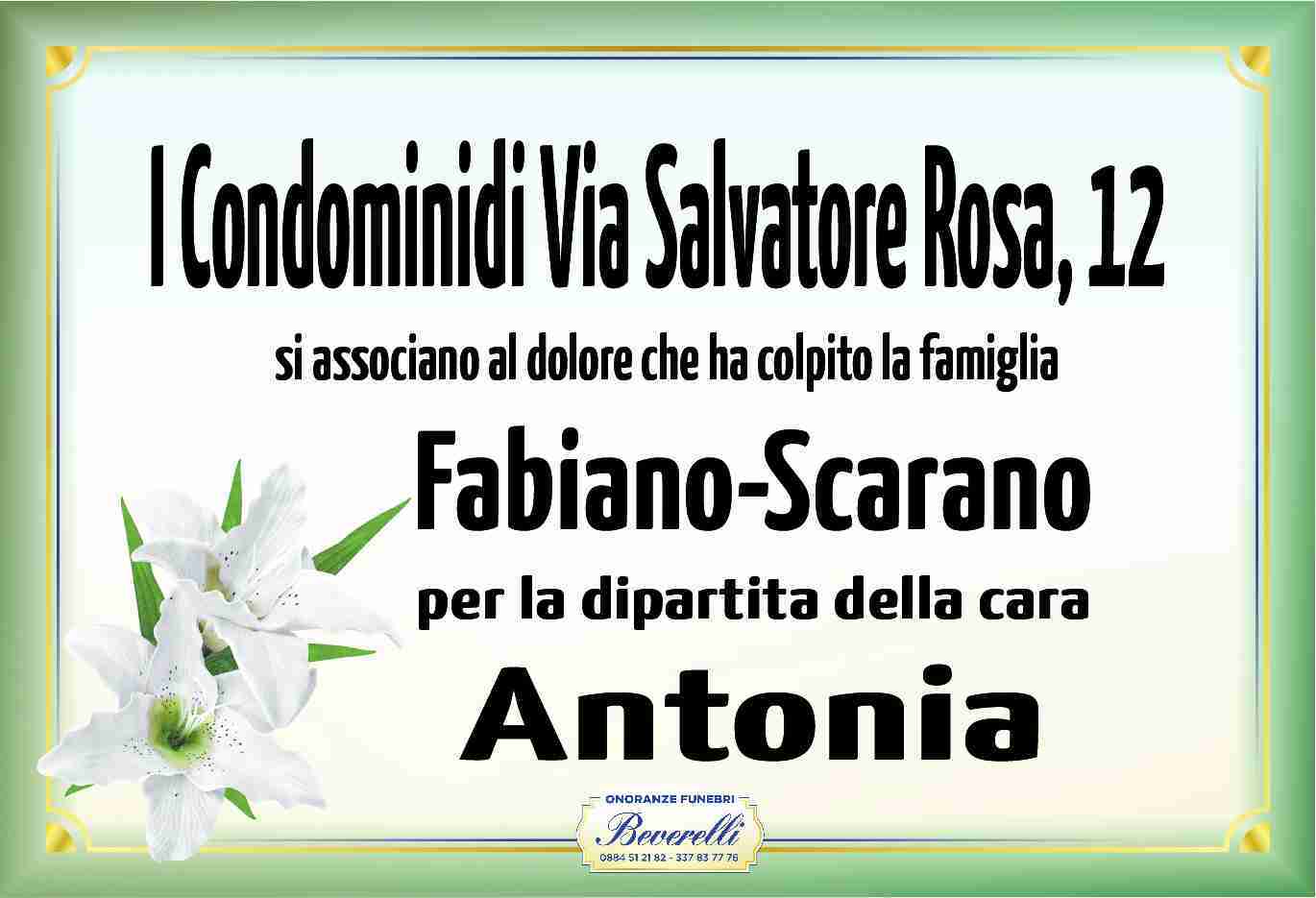 Antonia Scarano