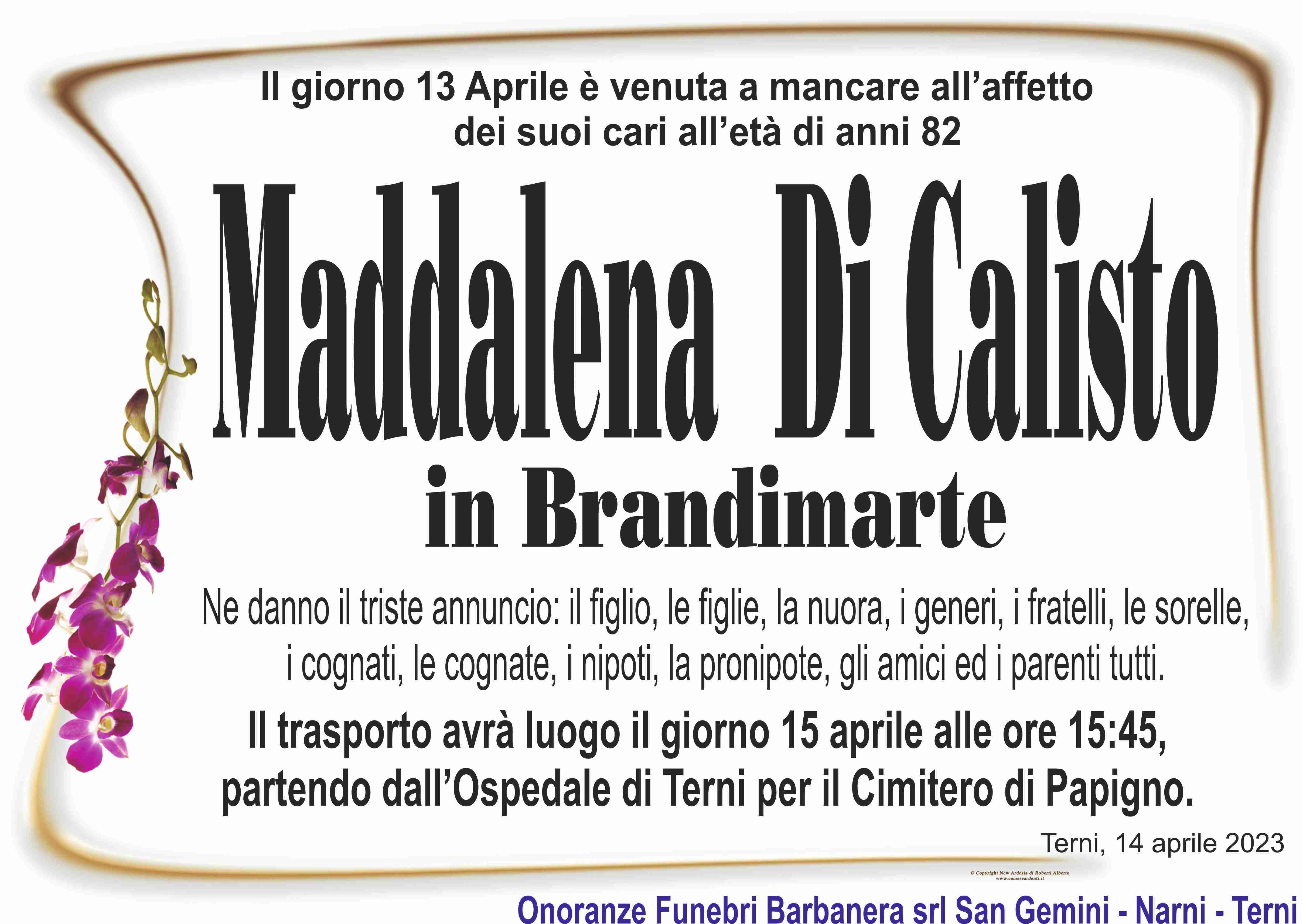 Maddalena Di Calisto
