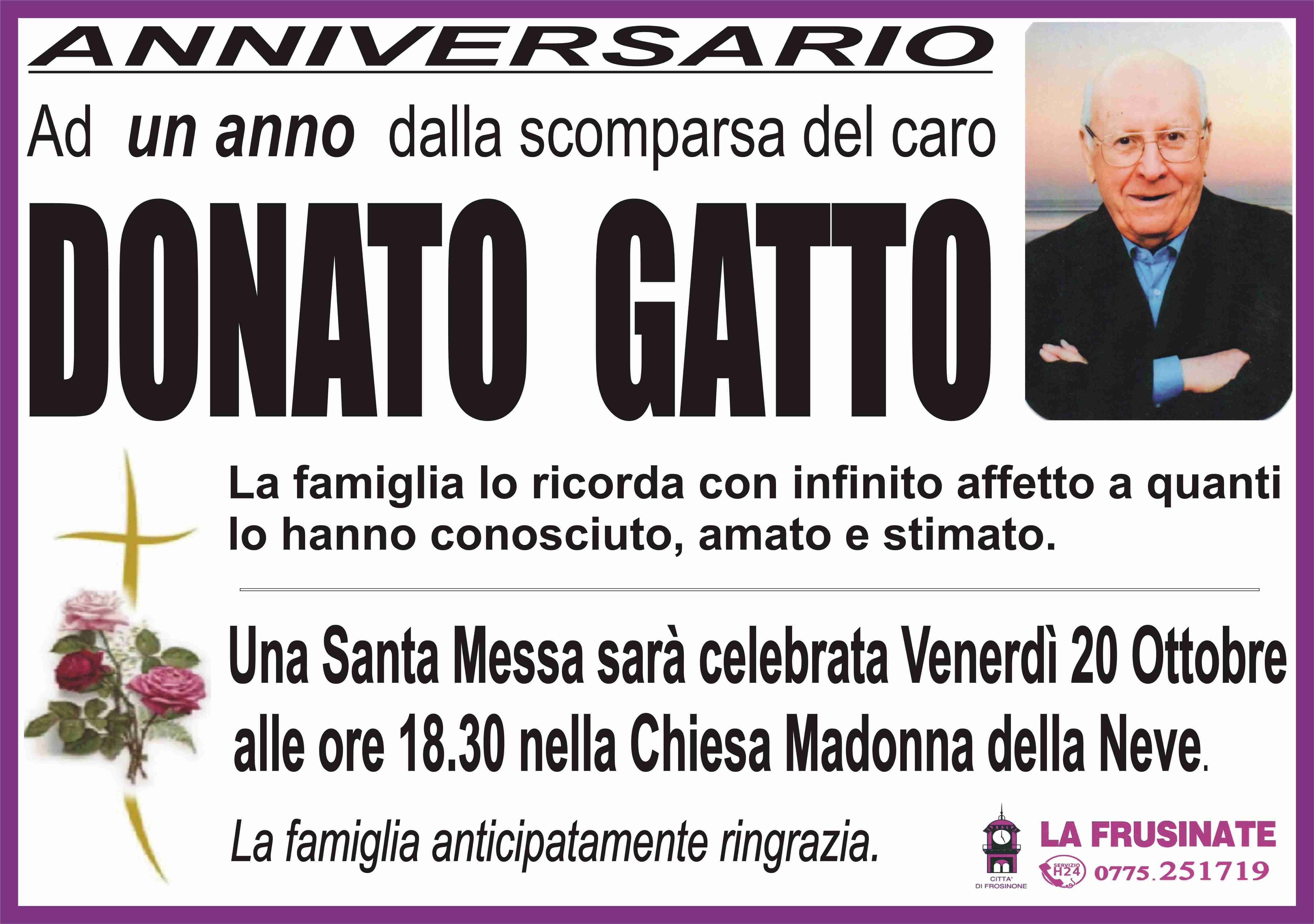 Donato Gatto