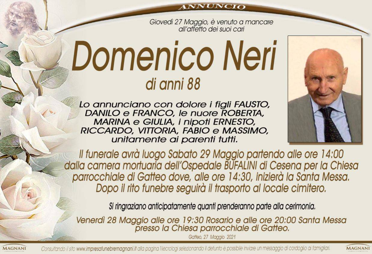 Domenico Neri