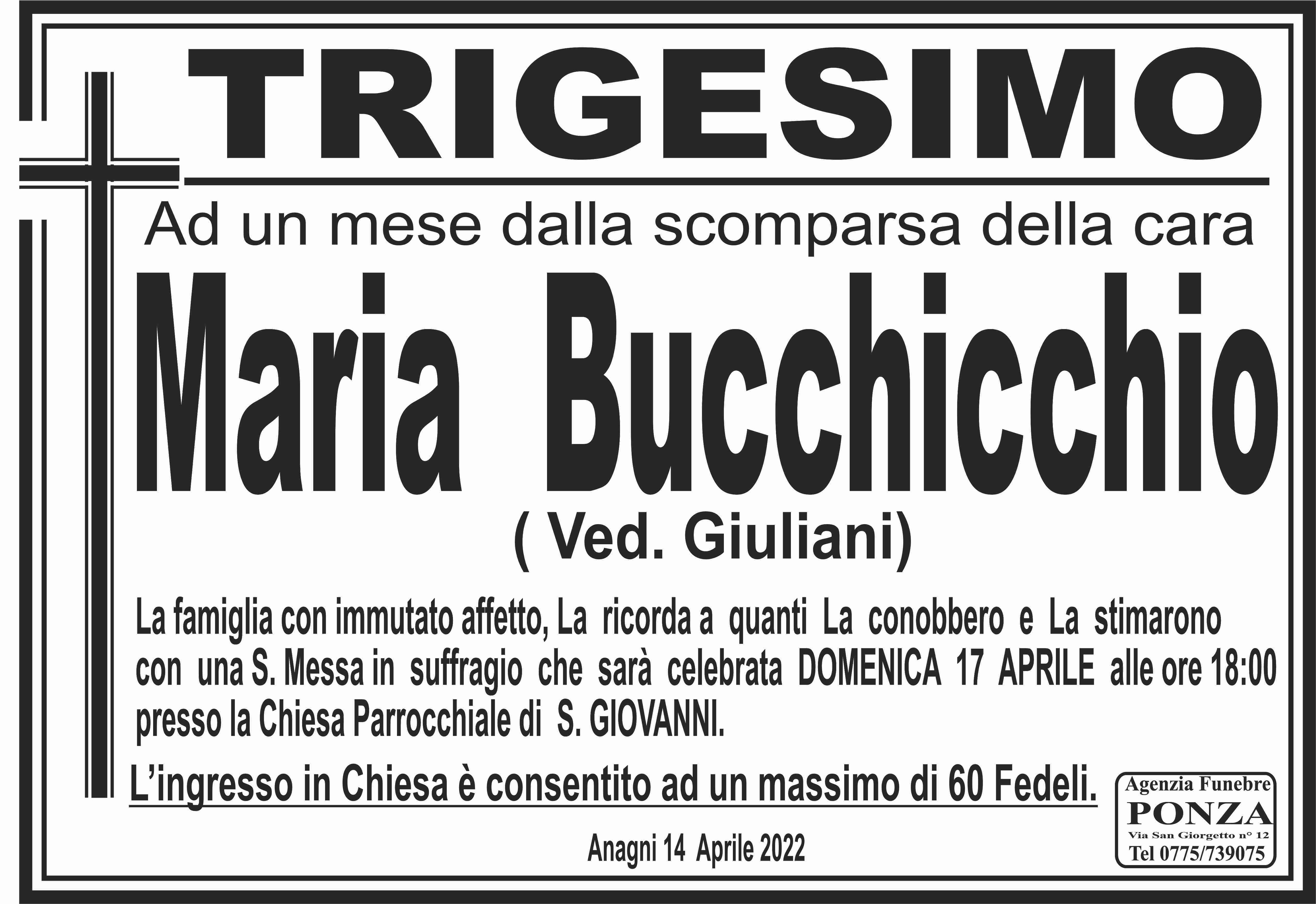 Maria Bucchicchio