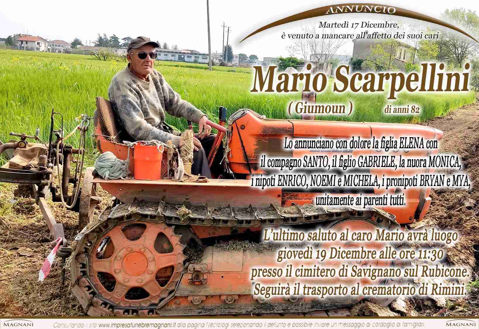 Mario Scarpellini