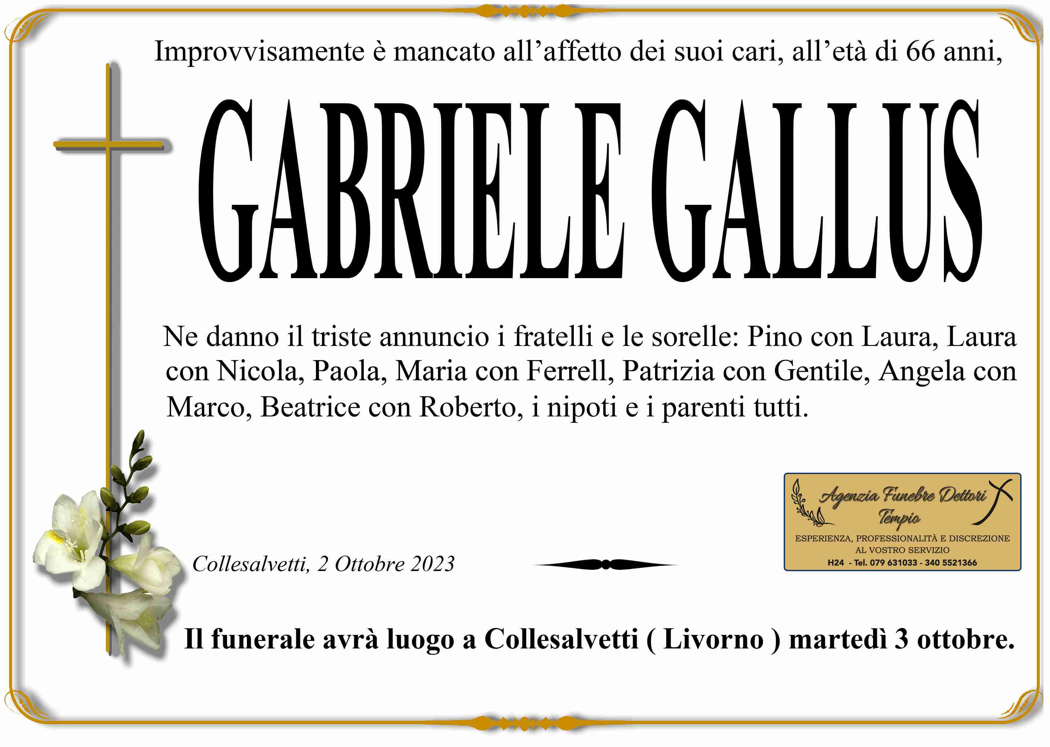 Gabriele Gallus