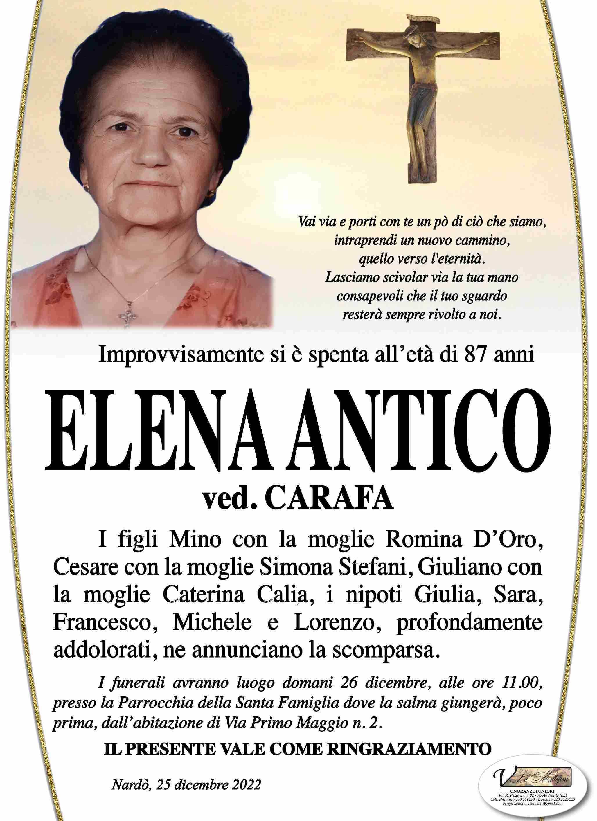 Elena Antico