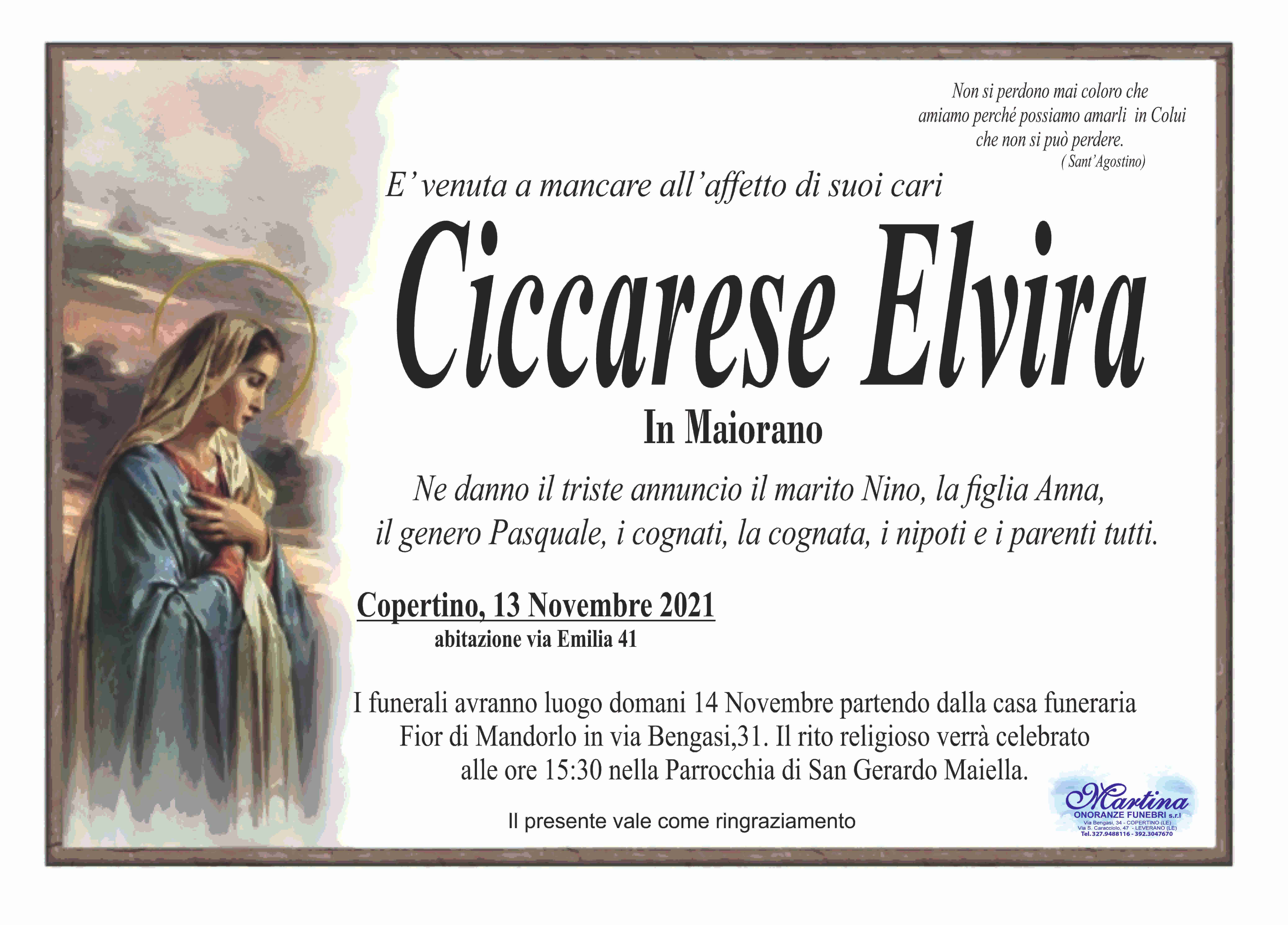 Elvira Ciccarese