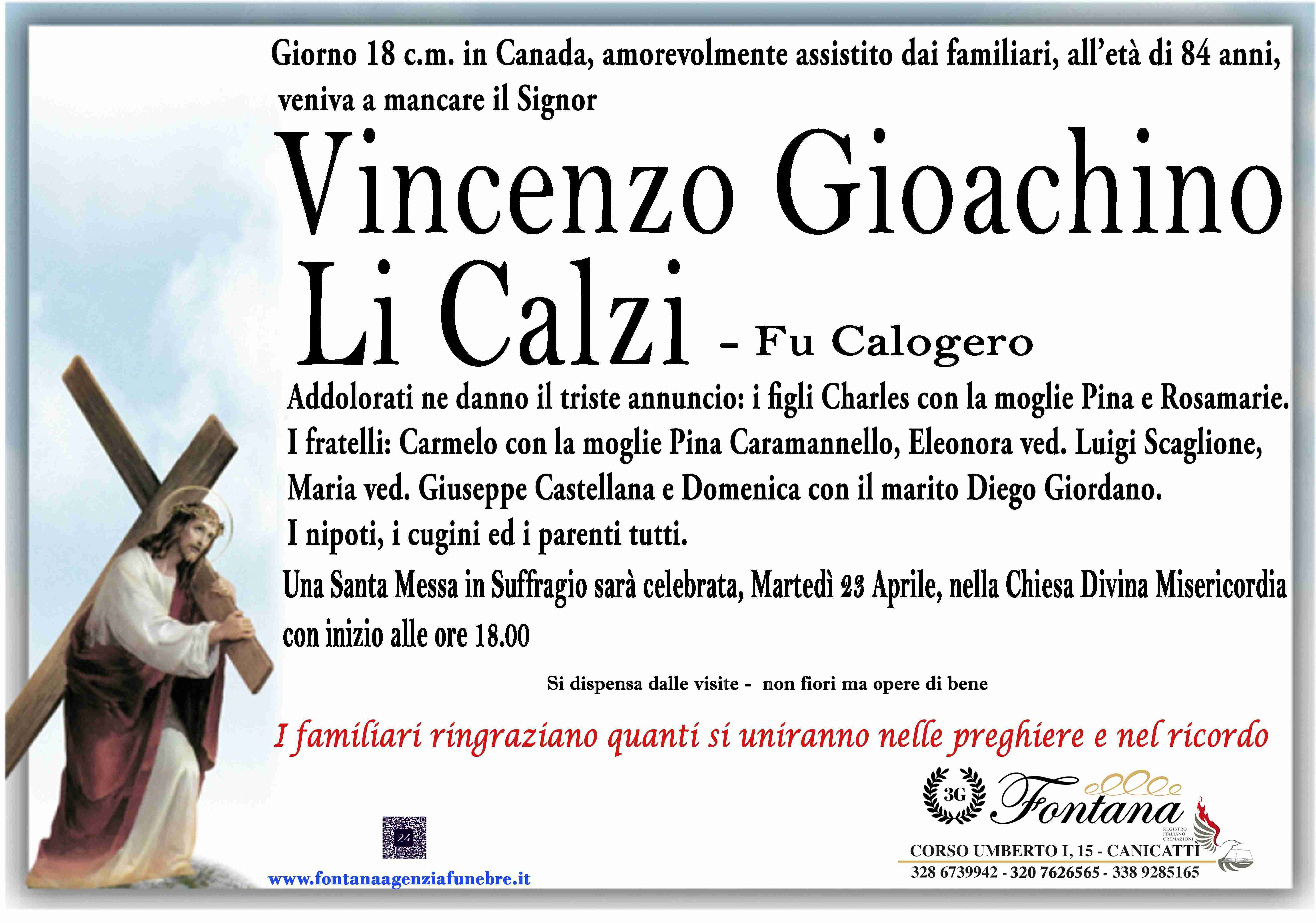 Vincenzo Gioachino Li Calzi